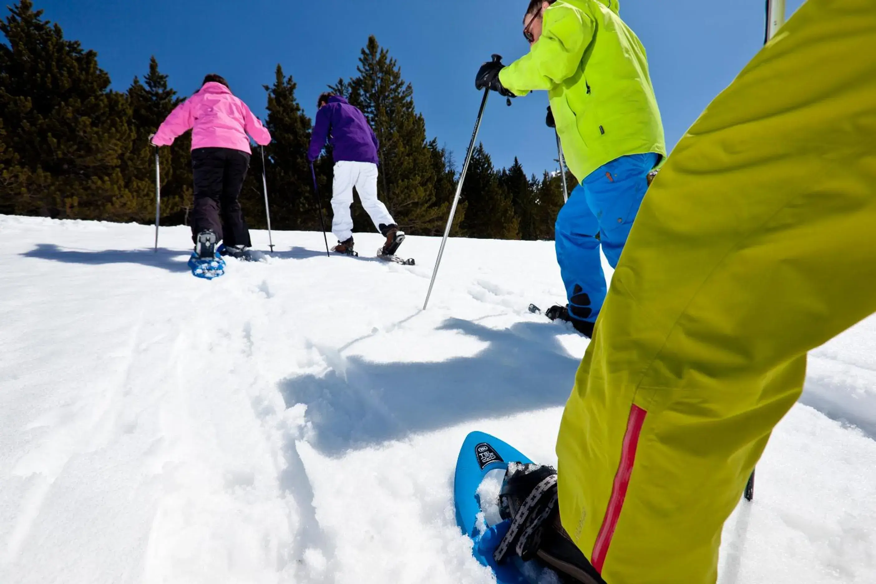 Activities, Winter in Sport Hotel Hermitage & Spa