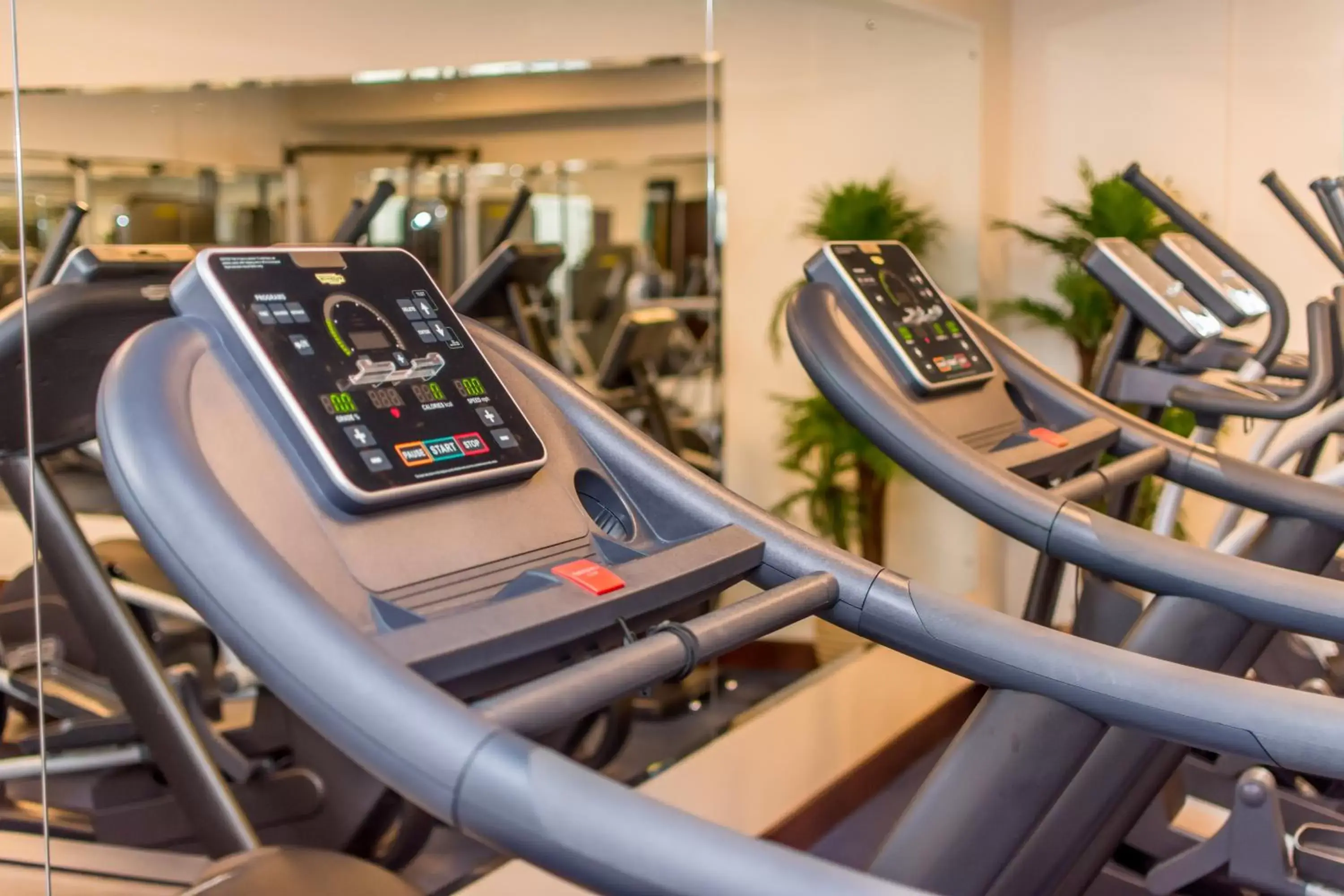 Fitness centre/facilities, Fitness Center/Facilities in Crocs Resort & Casino