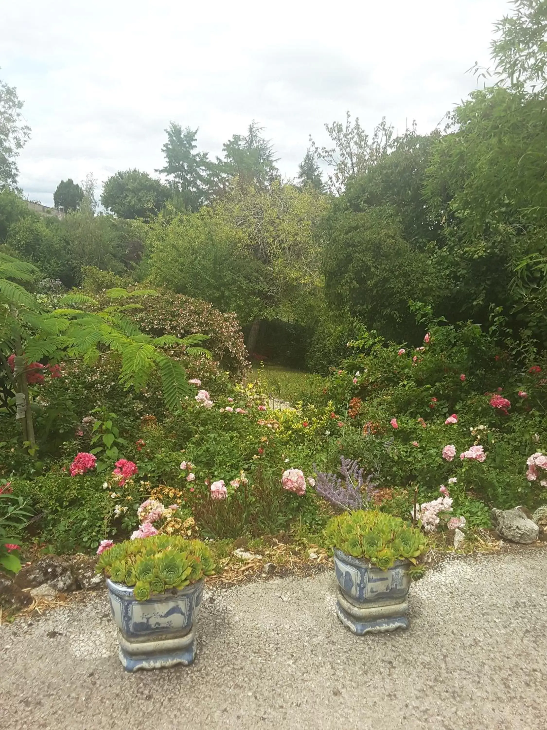 Patio, Garden in La Maison des Thermes, Chambre d'hôte