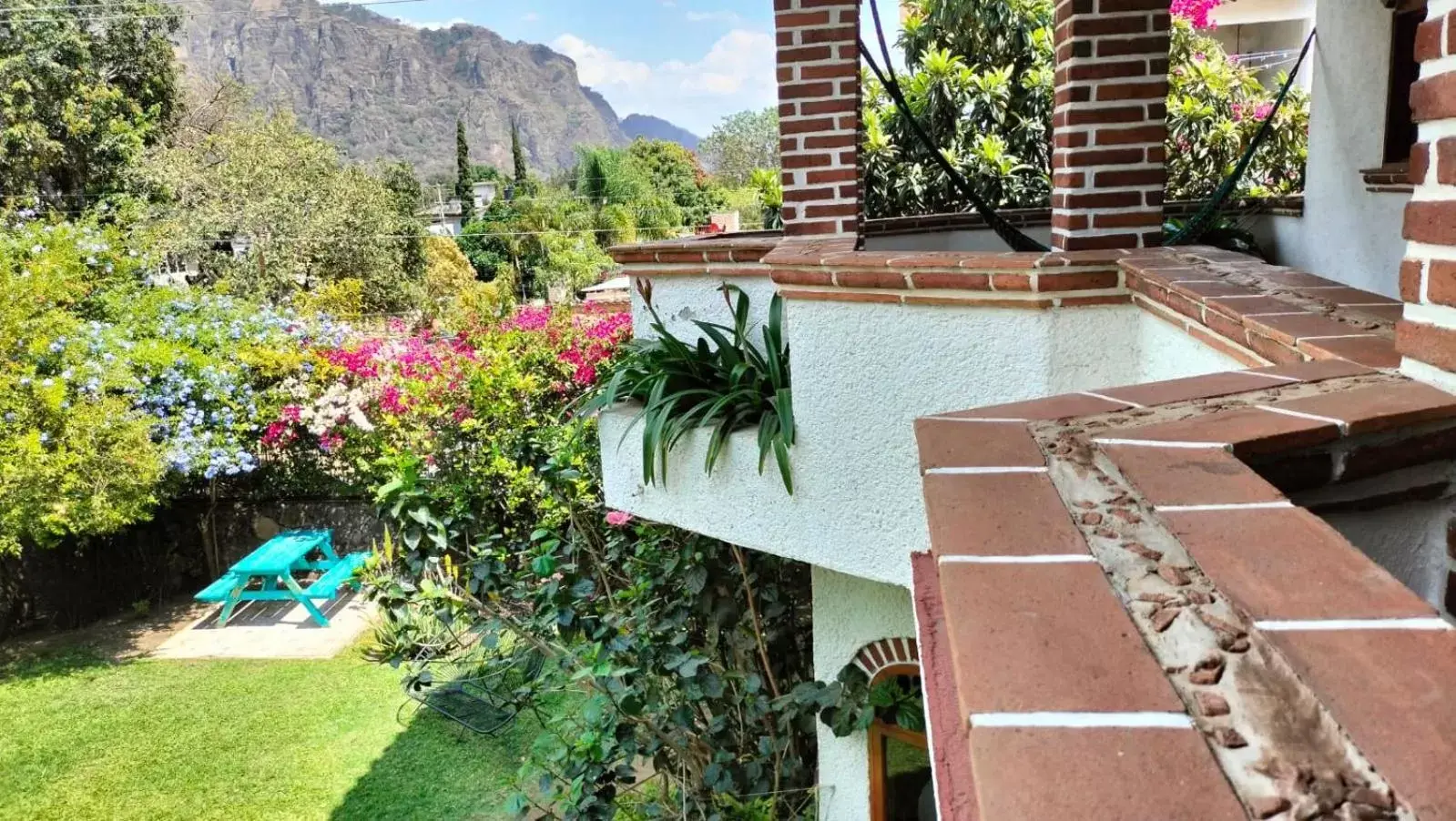 Pool View in Colibrí Turquesa