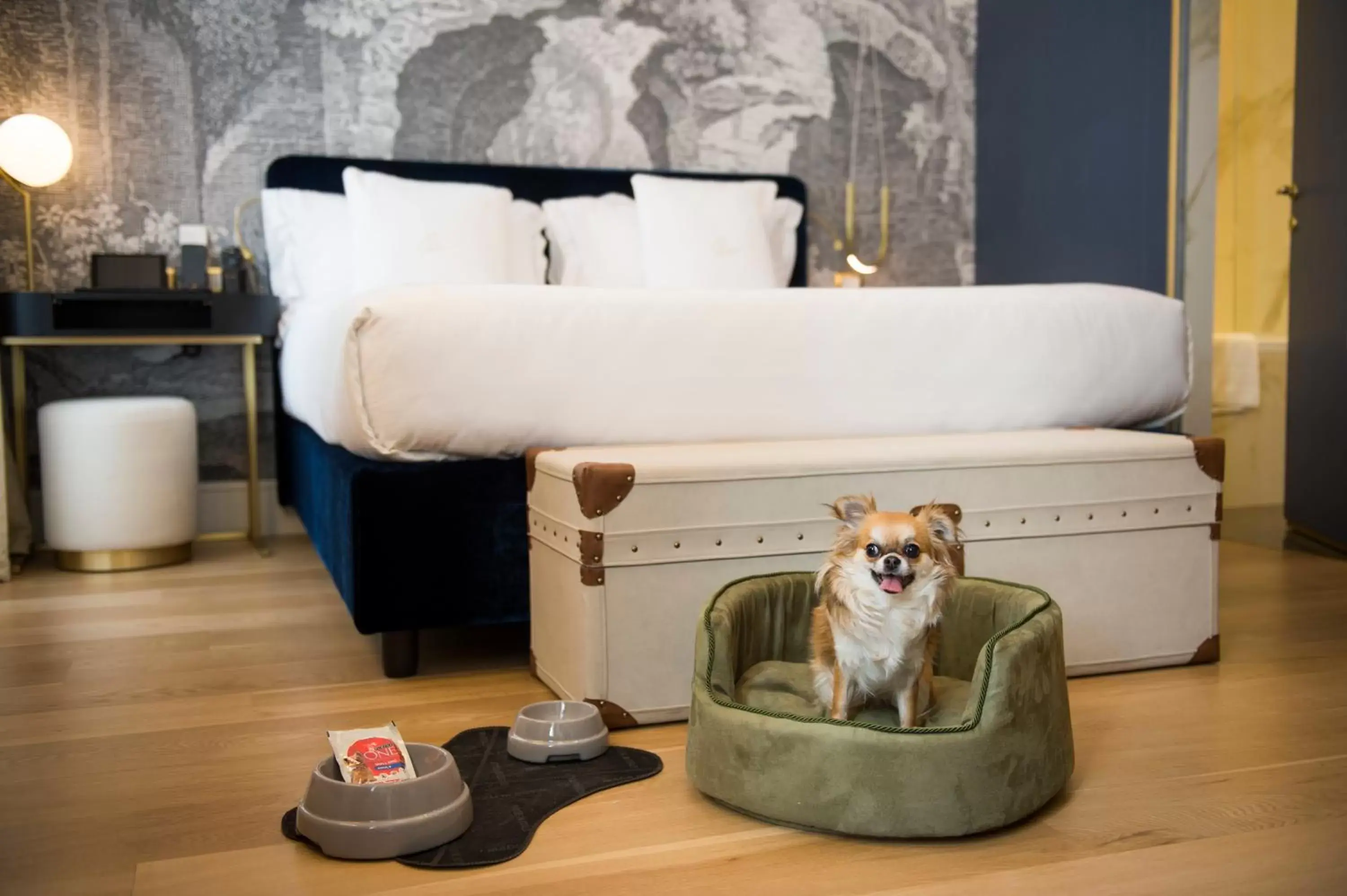 Pets in Elizabeth Unique Hotel | a Member of Design Hotels™