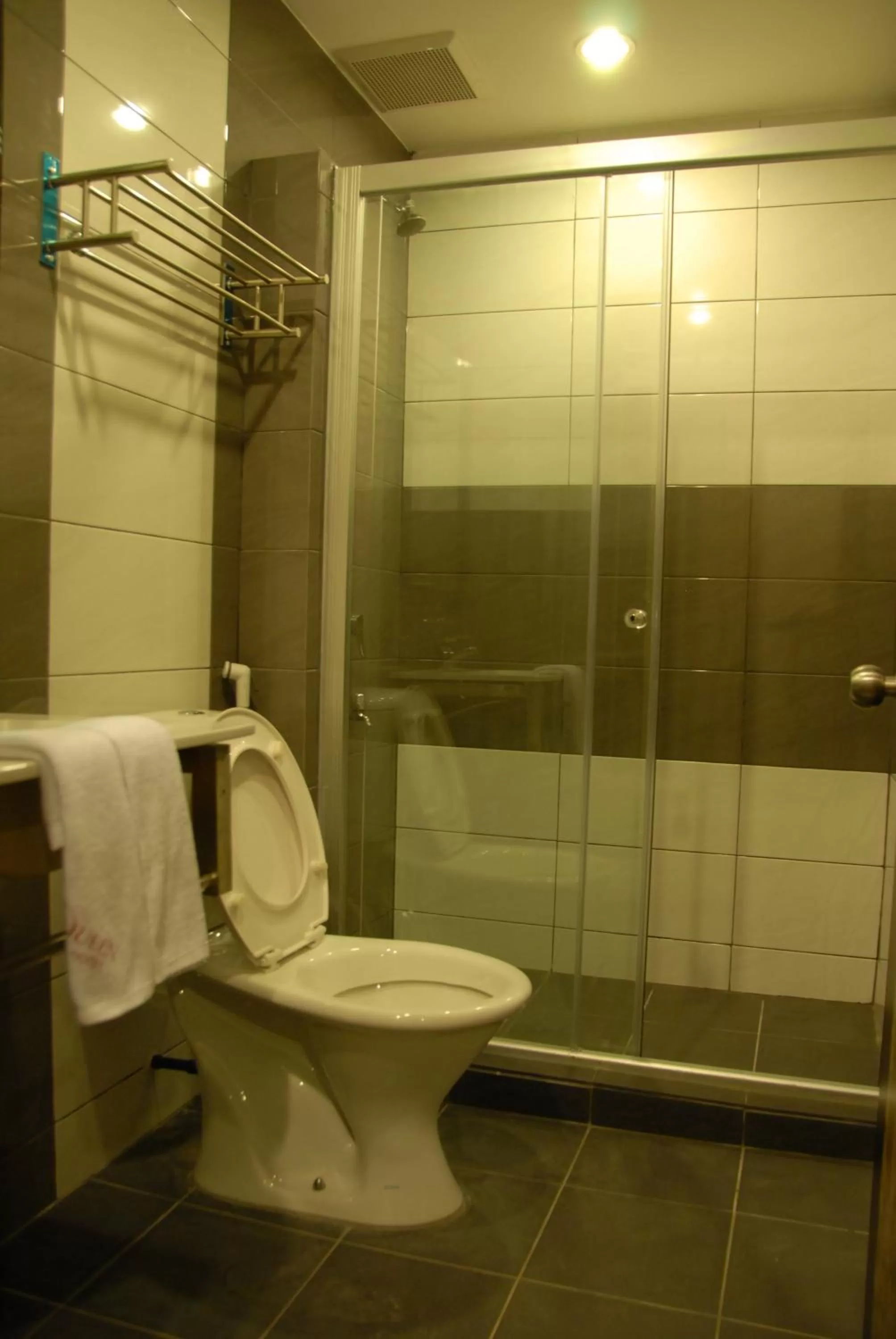 Shower in Queen Hotel