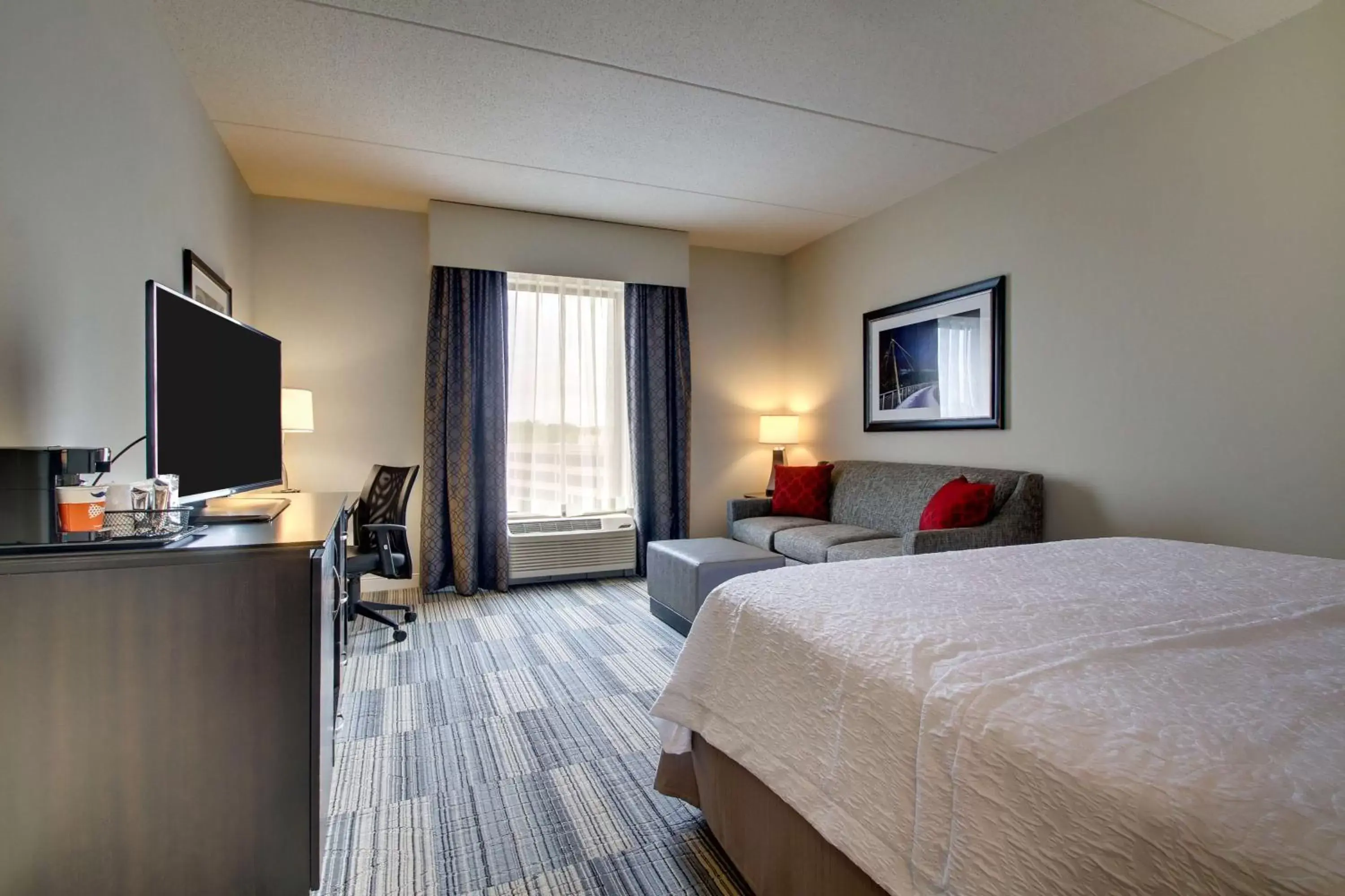 Bed, TV/Entertainment Center in Hampton Inn & Suites Greenville Airport