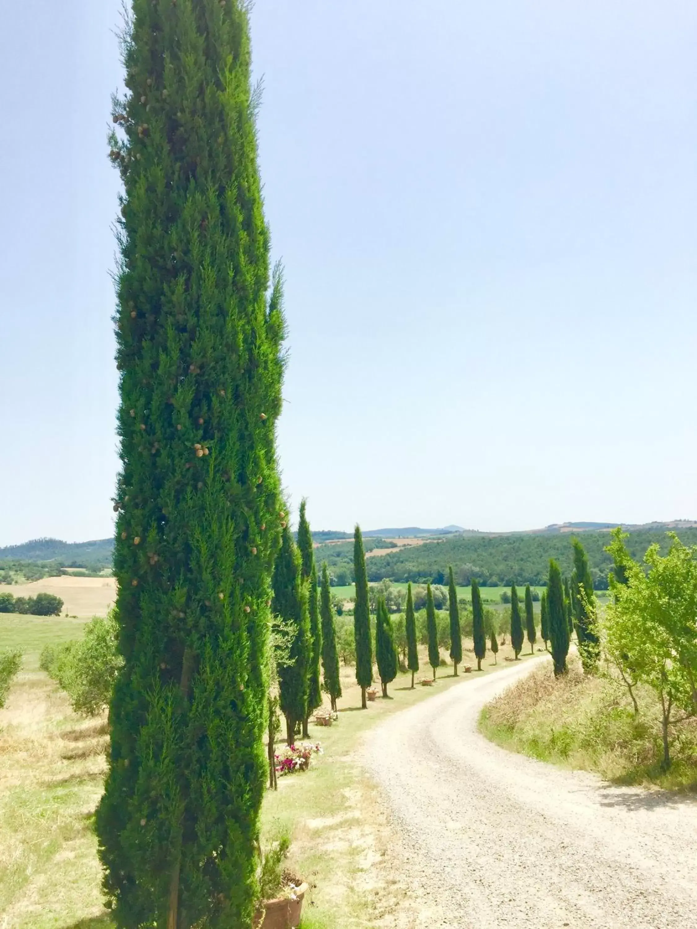 Natural landscape in Locanda Vesuna