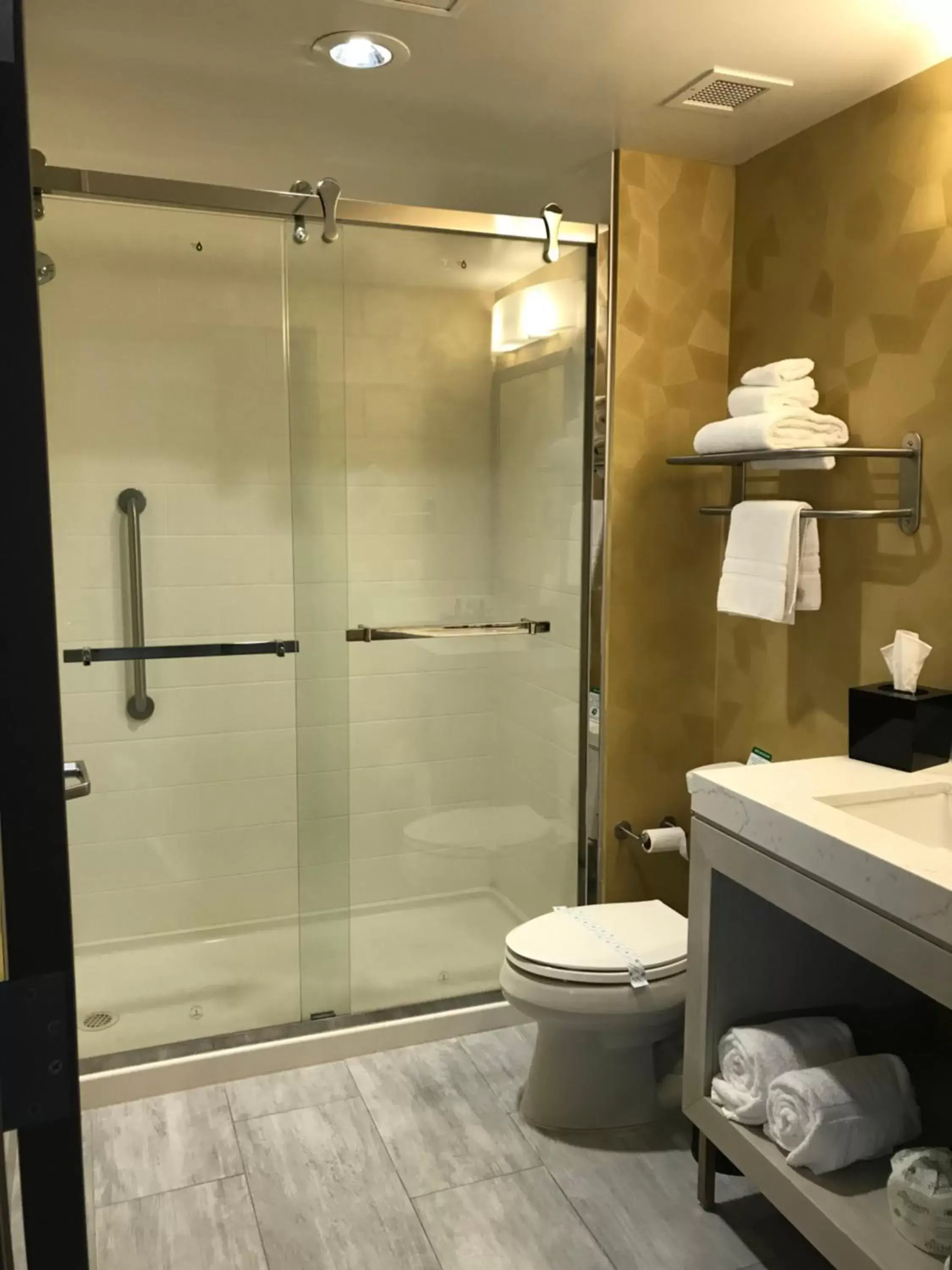 Bathroom in Best Western Premier Historic Travelers Hotel Alamo/Riverwalk