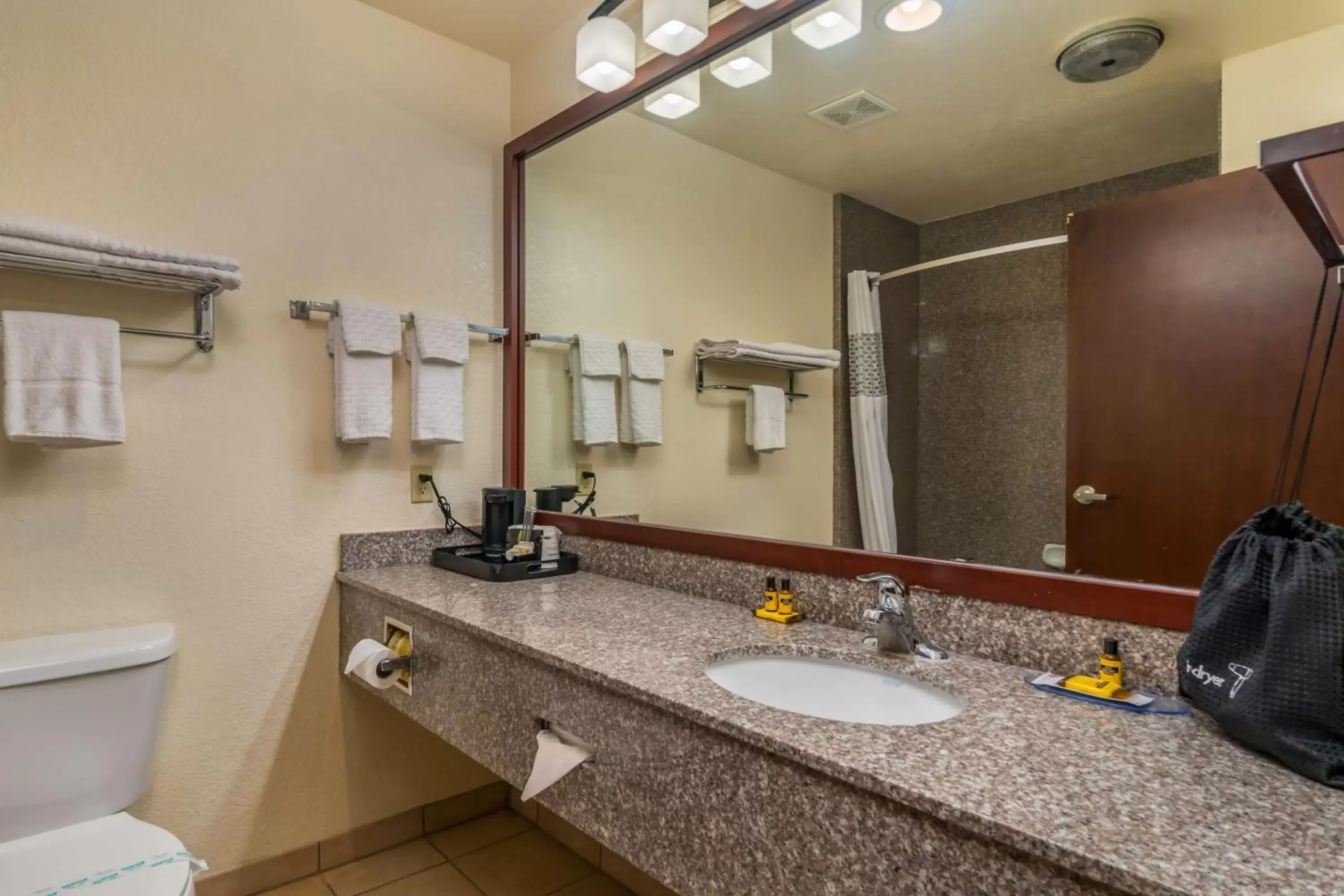 Bathroom in Best Western Plus Shamrock Inn & Suites