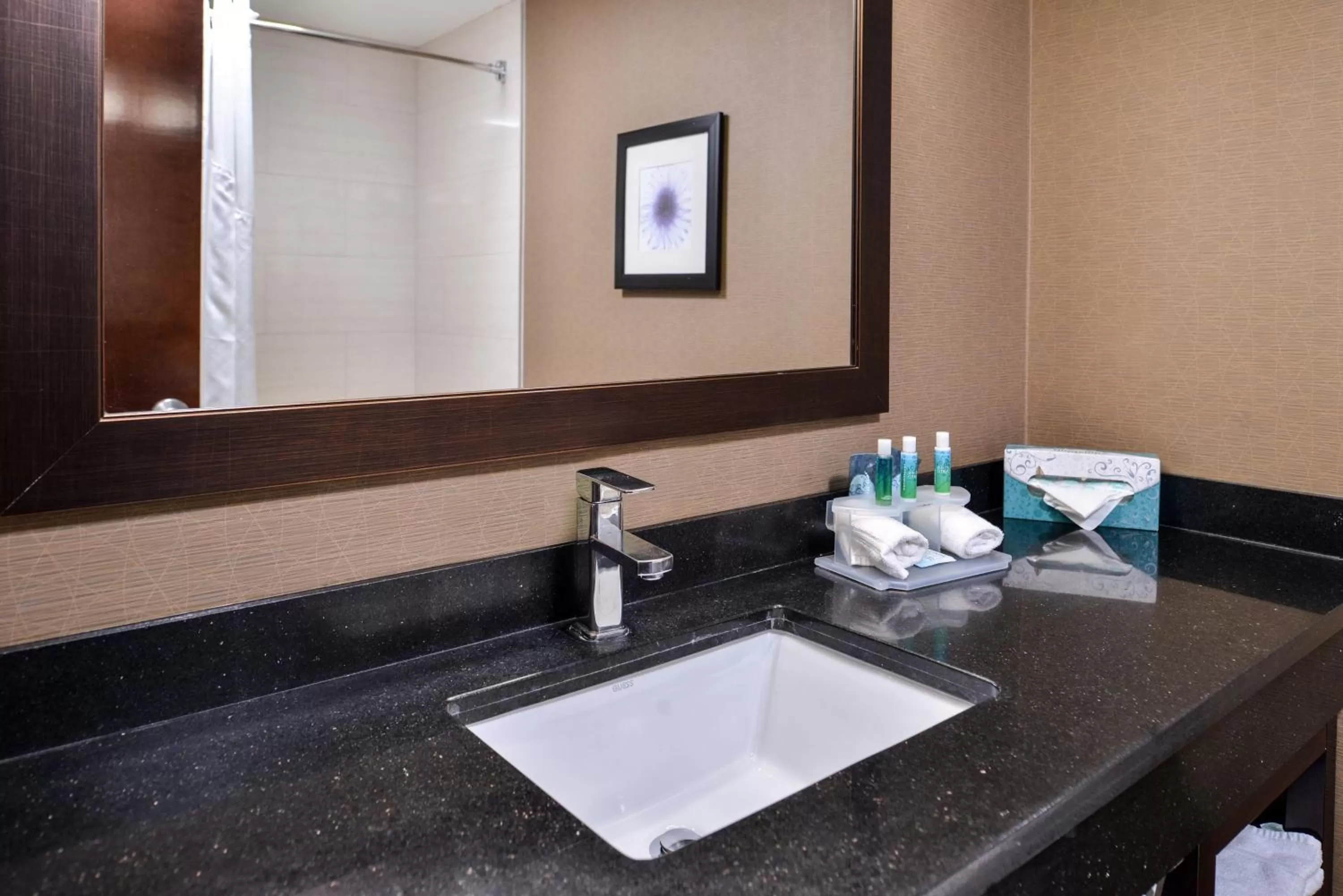 King Room - Non-Smoking in Holiday Inn Express Hotel & Suites West Chester, an IHG Hotel