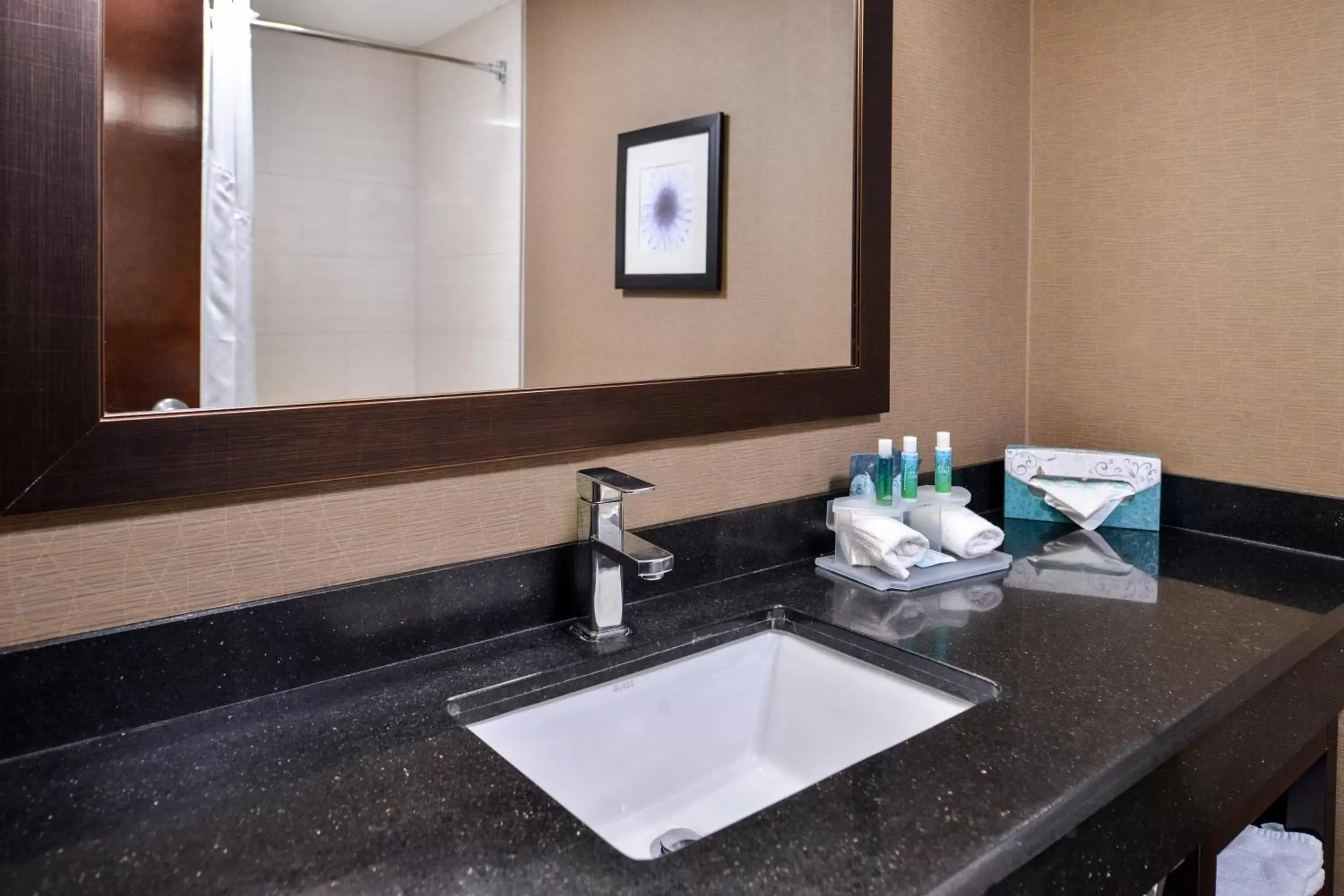 Bathroom in Holiday Inn Express Hotel & Suites West Chester, an IHG Hotel