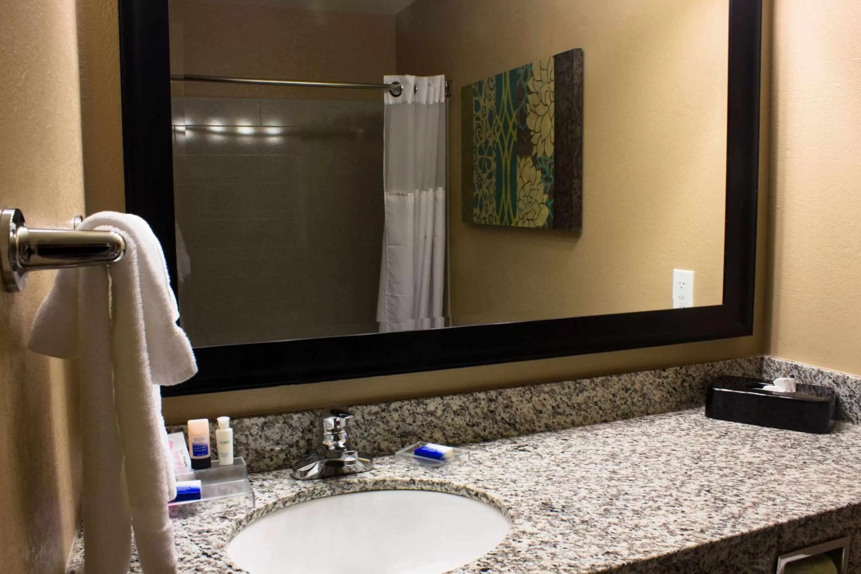 Bathroom in BEST WESTERN Plus Menomonie Inn & Suites