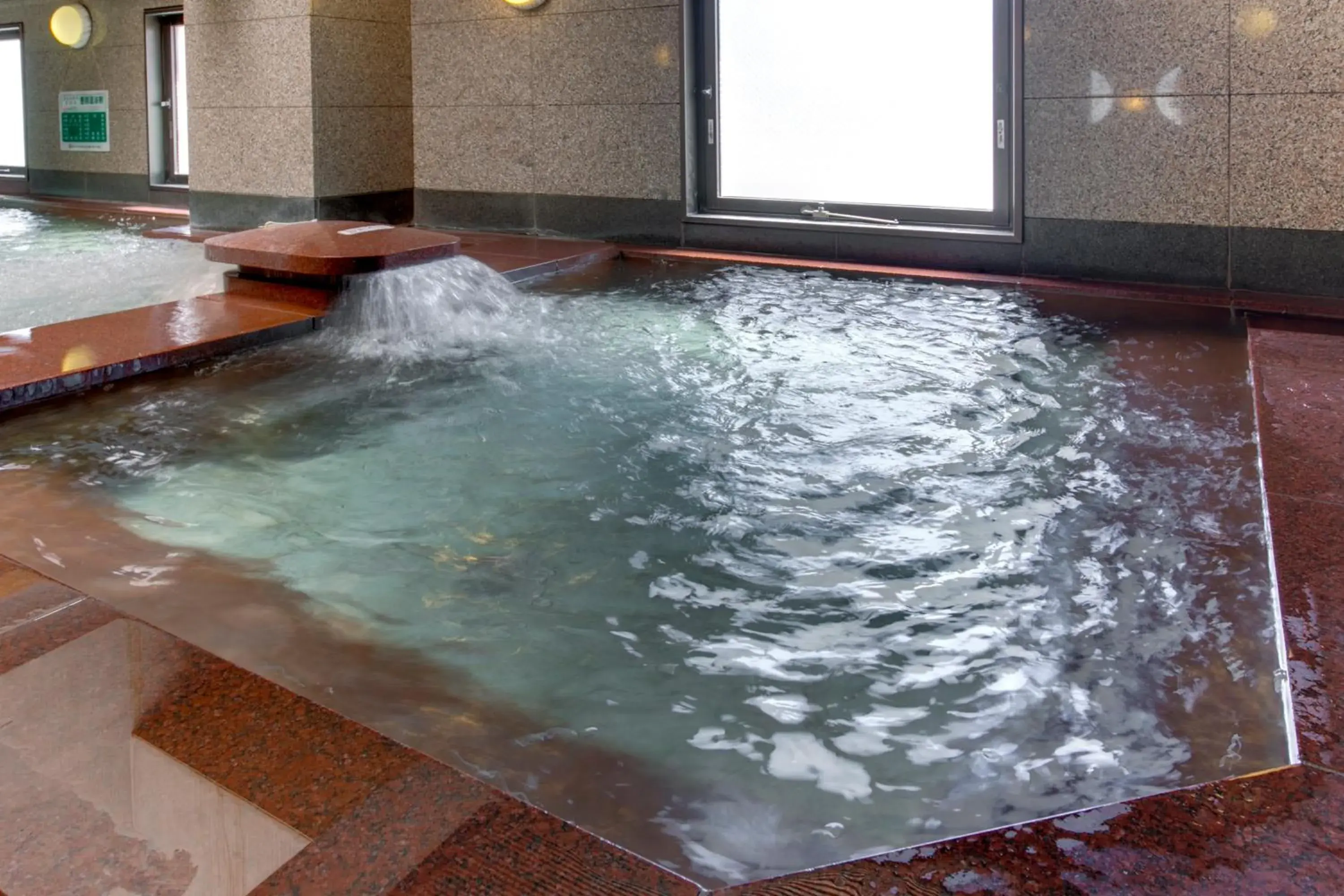 Public Bath, Swimming Pool in Plaza Hotel Toyota