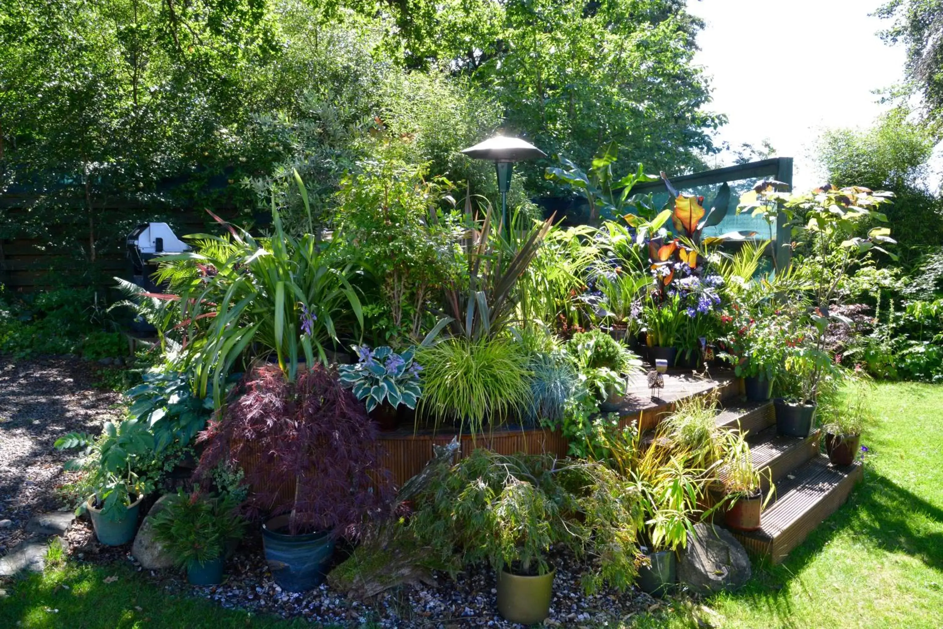 Garden in Home Farm Bed and Breakfast