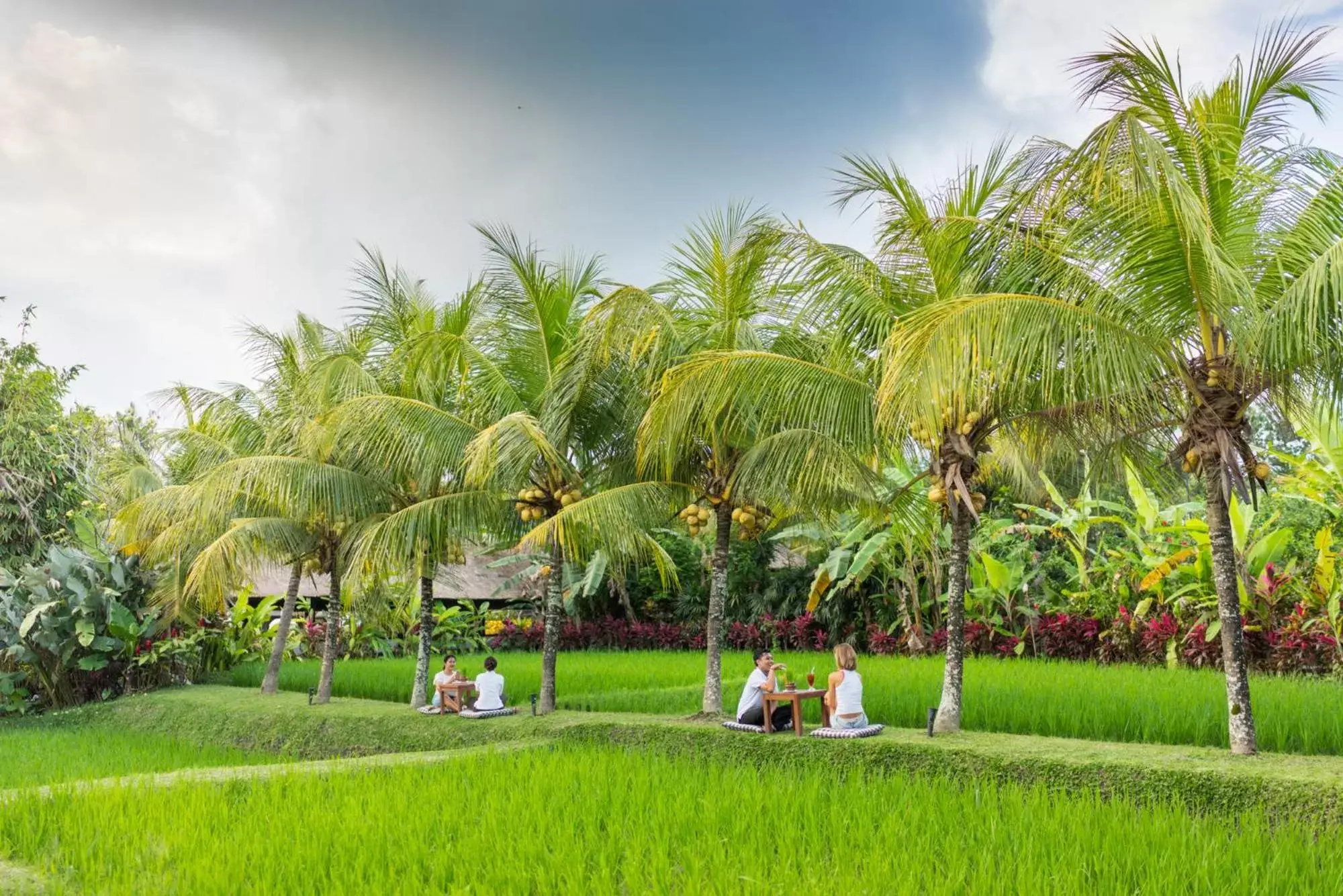 Natural landscape, Garden in Bebek Tepi Sawah Restaurant & Villas