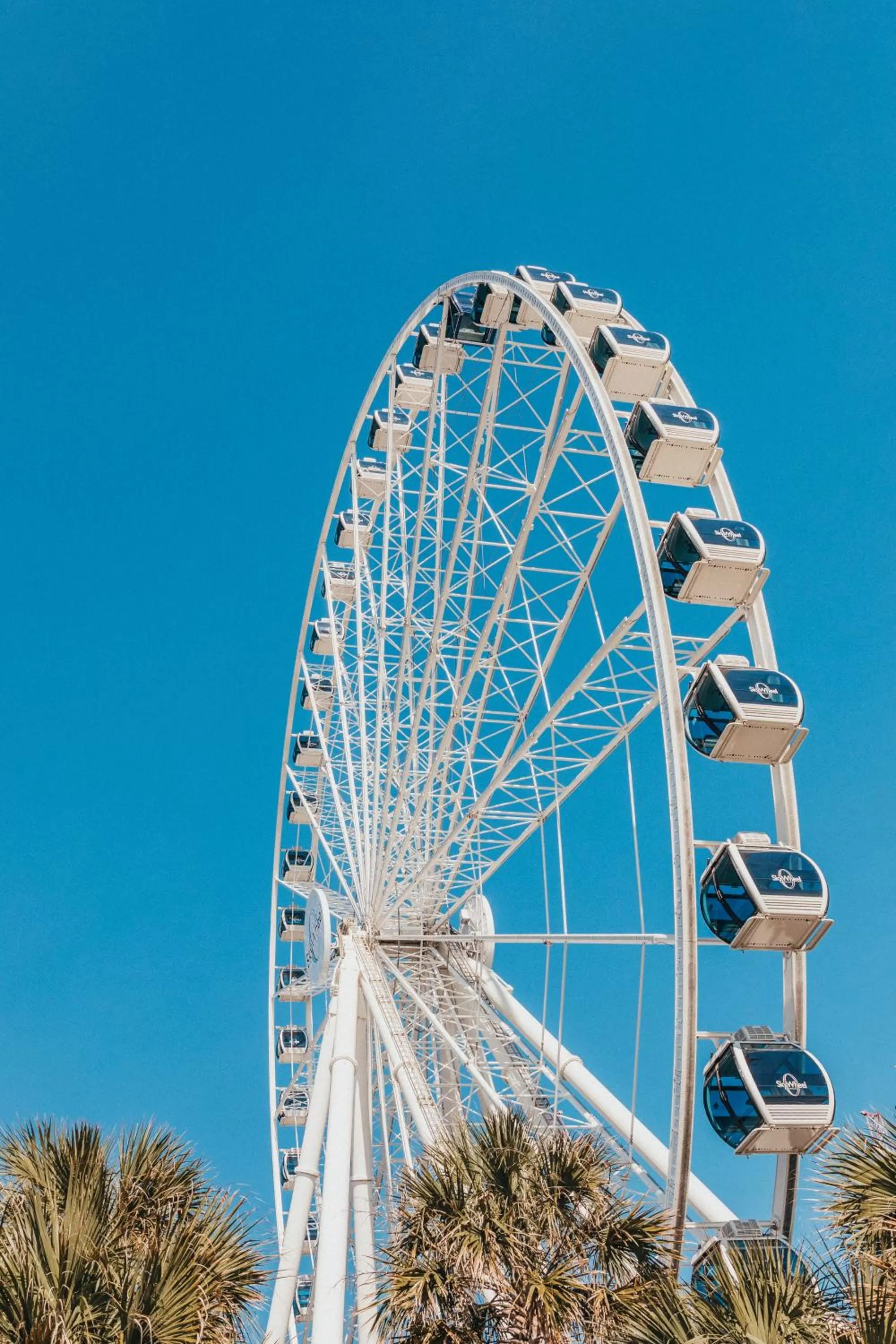 Nearby landmark, Other Activities in Sandcastle Oceanfront Resort South Beach