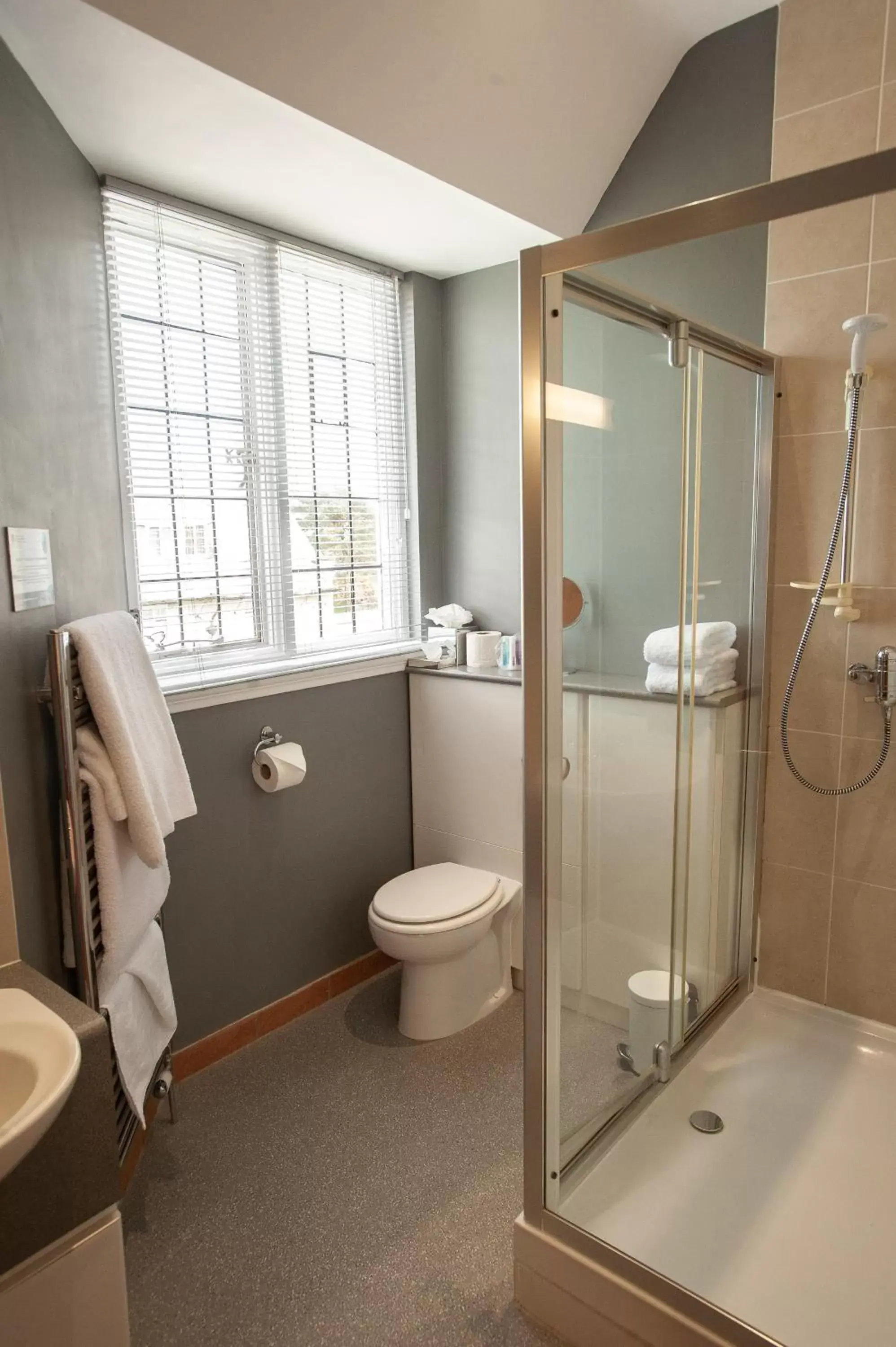 Shower, Bathroom in The Management Centre