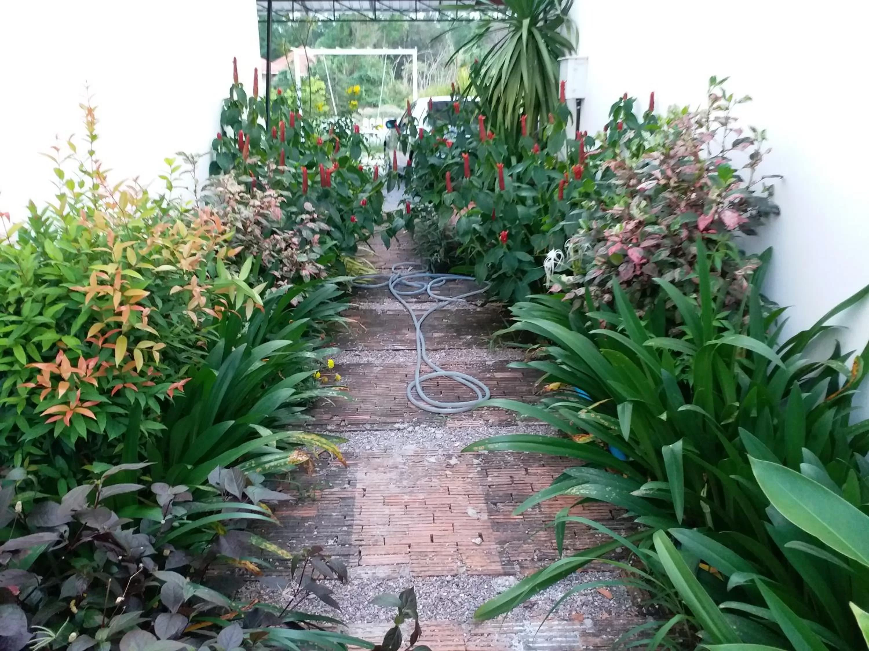 Natural landscape in Fancy Carp Resort