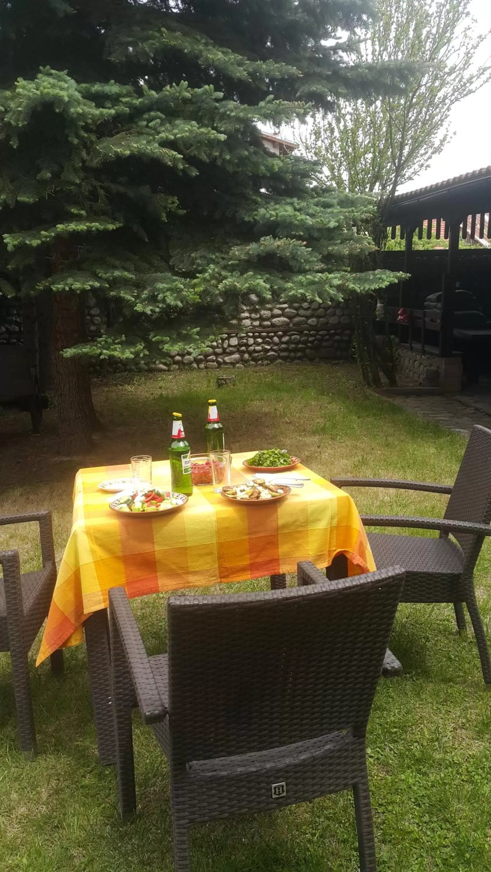 Patio in Aneli Hotel