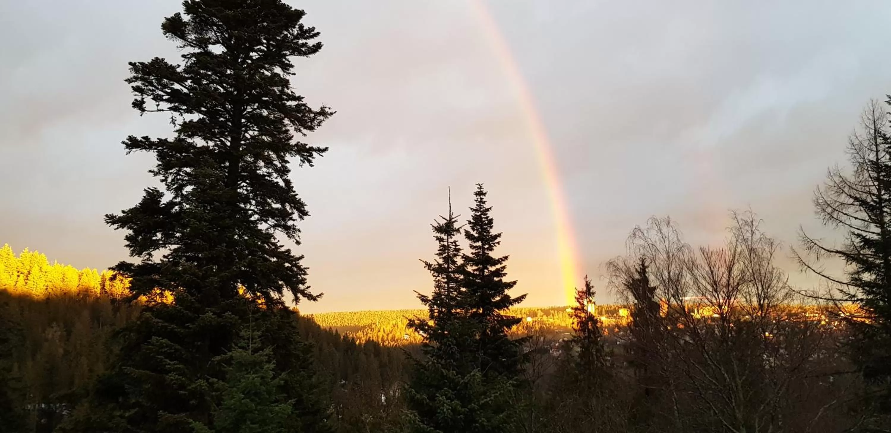 Natural landscape in Hotel Teuchelwald