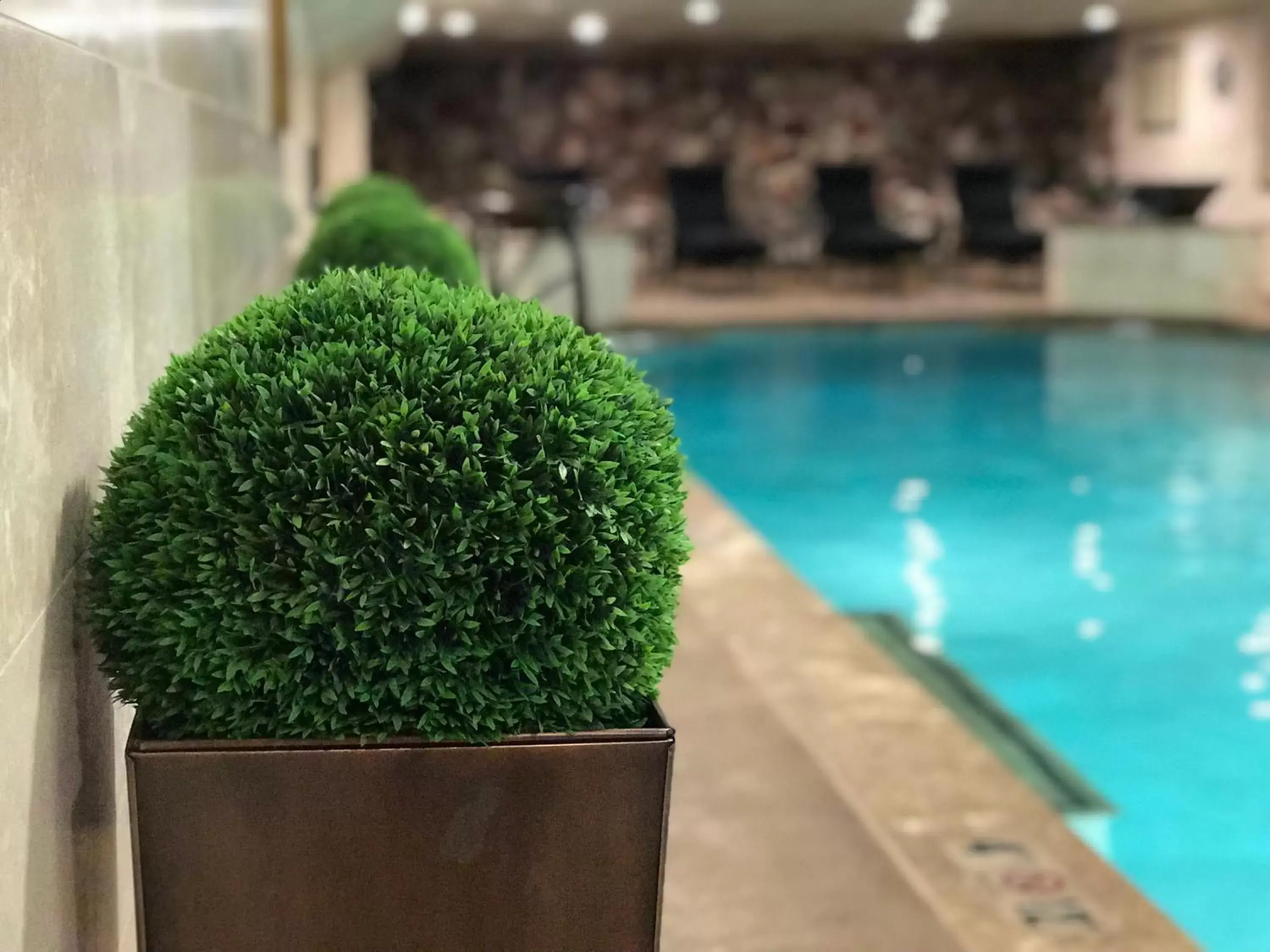 Decorative detail, Swimming Pool in Bozeman Lewis & Clark Motel