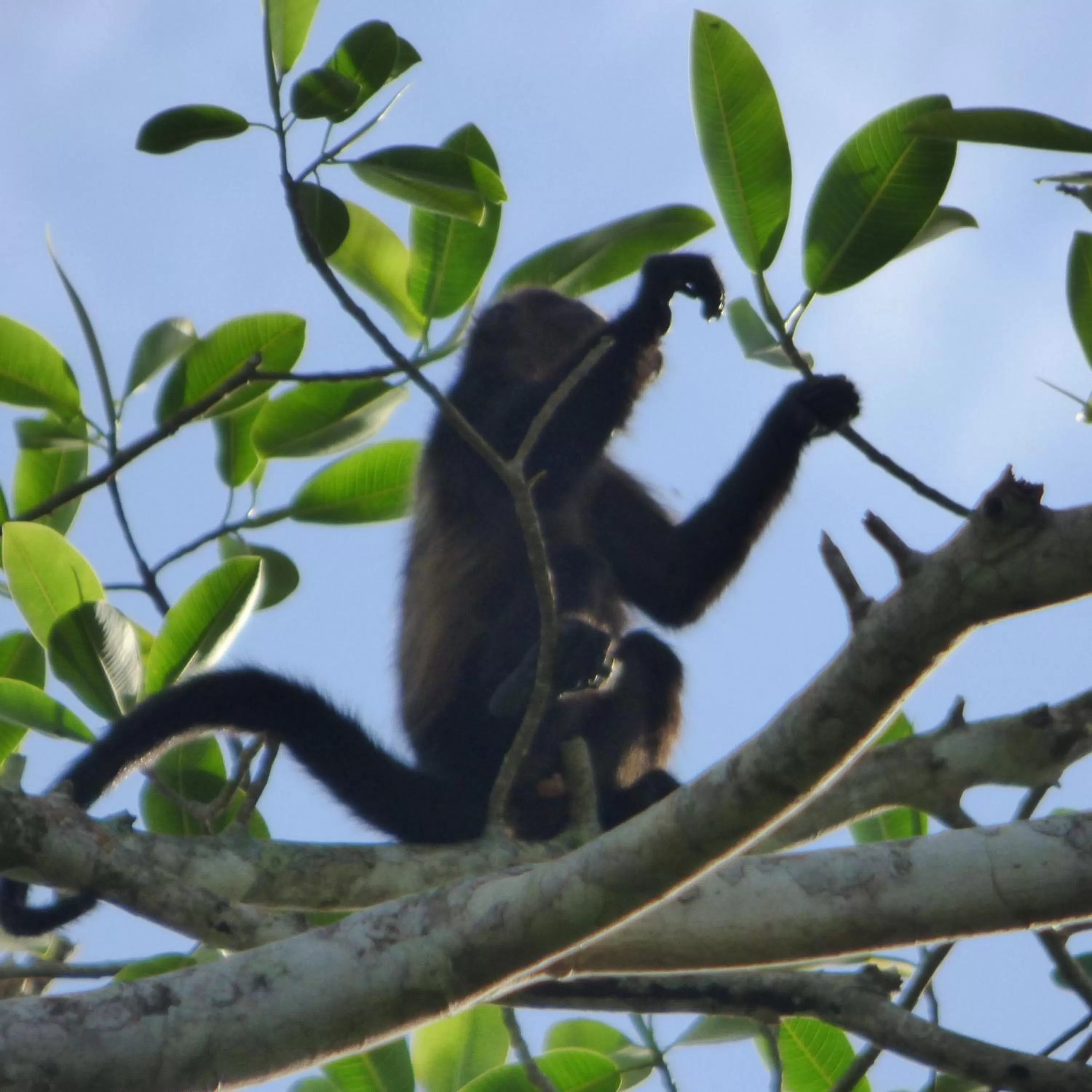 View (from property/room) in Sand Dollar Beach Bed & Breakfast