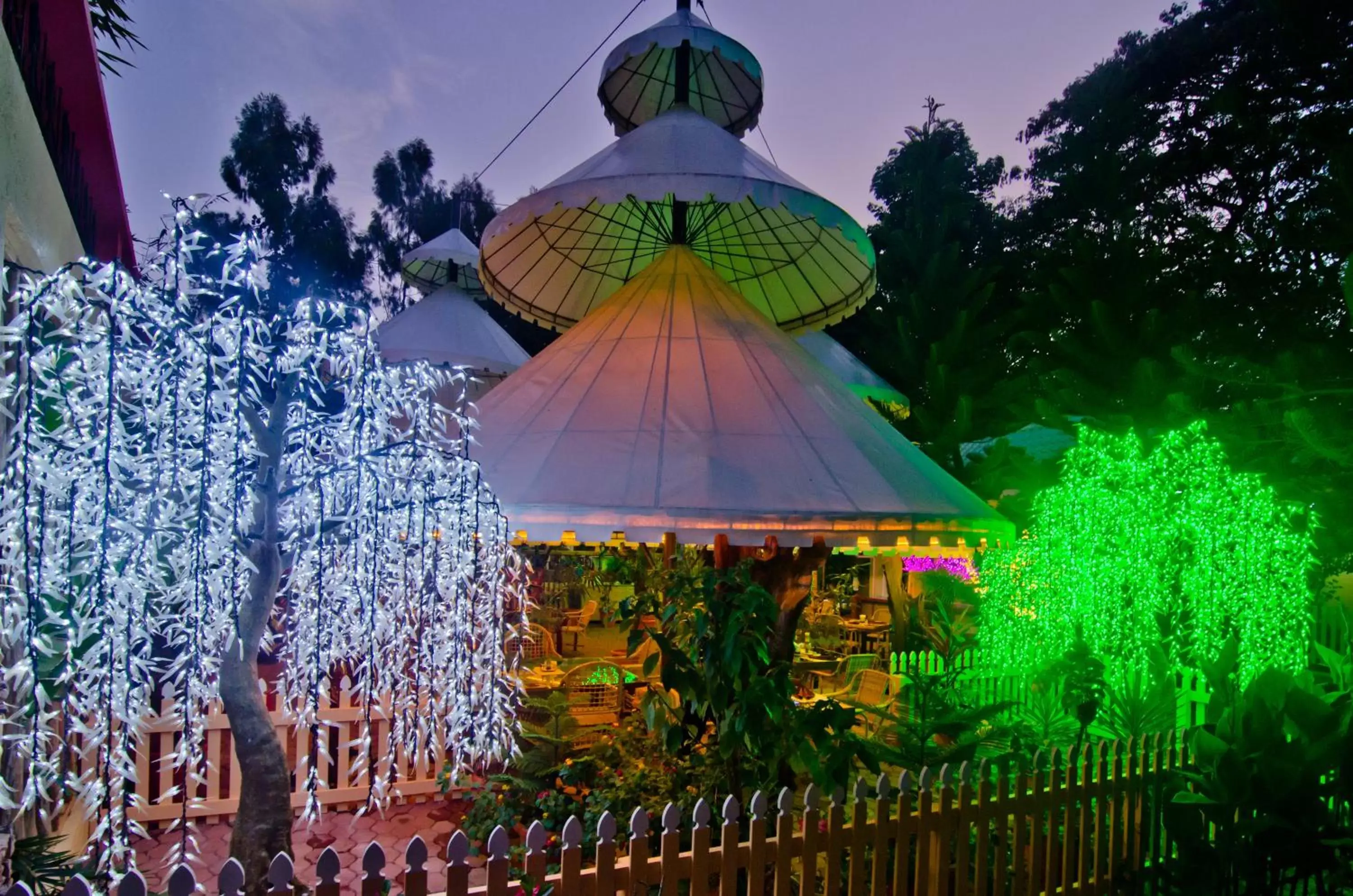 Night, Banquet Facilities in Deep Forest Garden Hotel