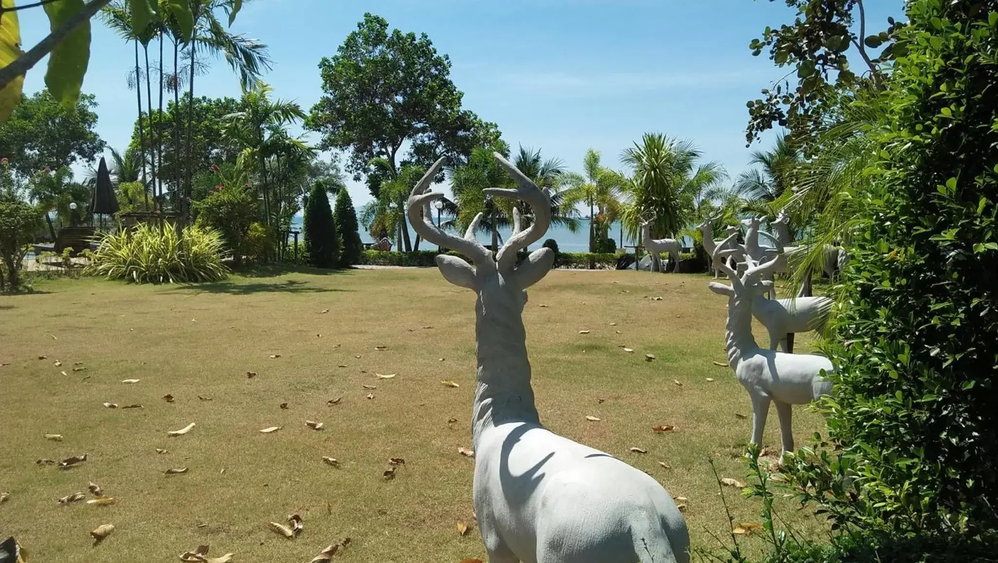 Natural landscape, Other Animals in Diamond Beach Resort