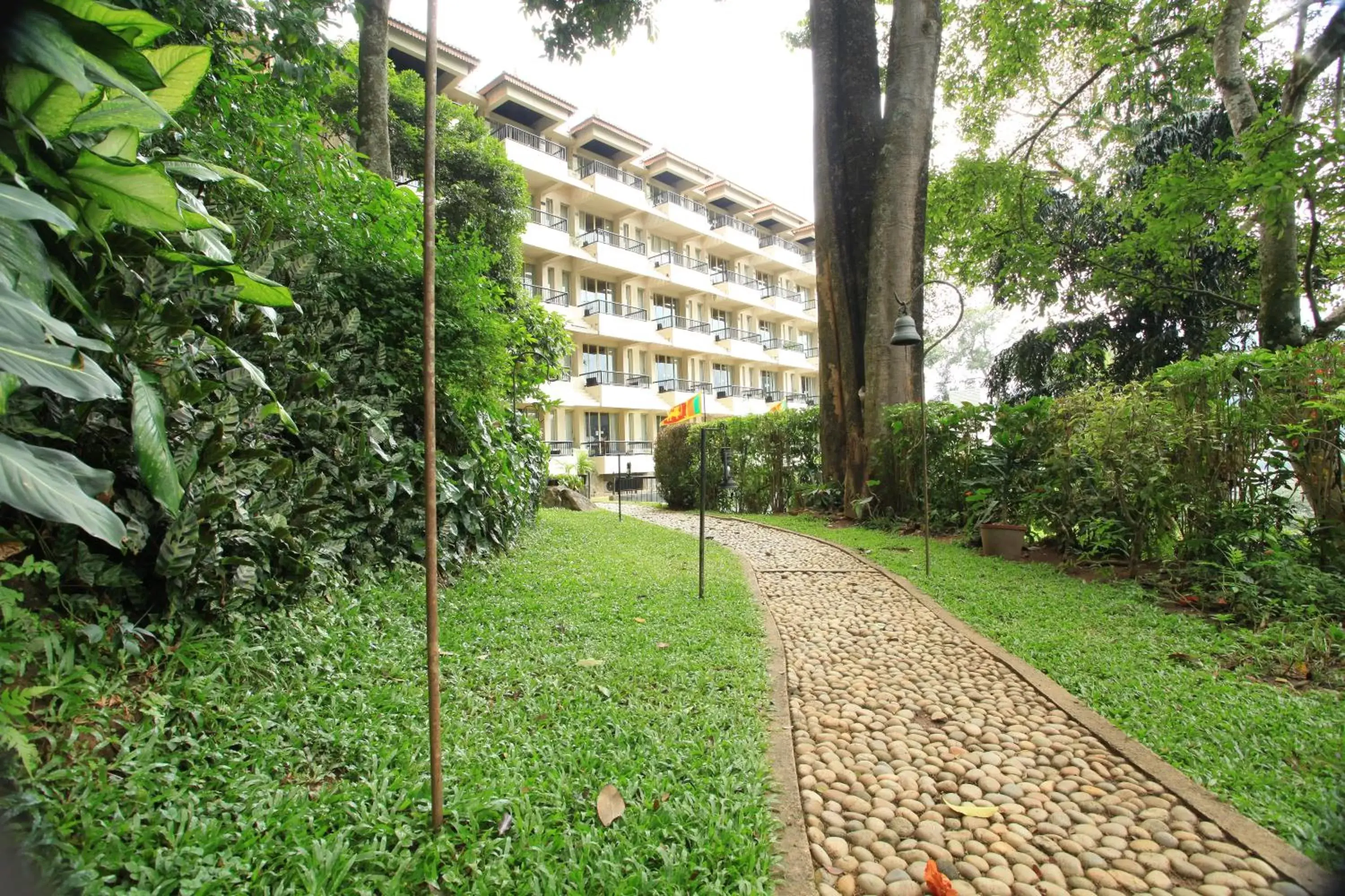 Patio, Garden in Thilanka Hotel