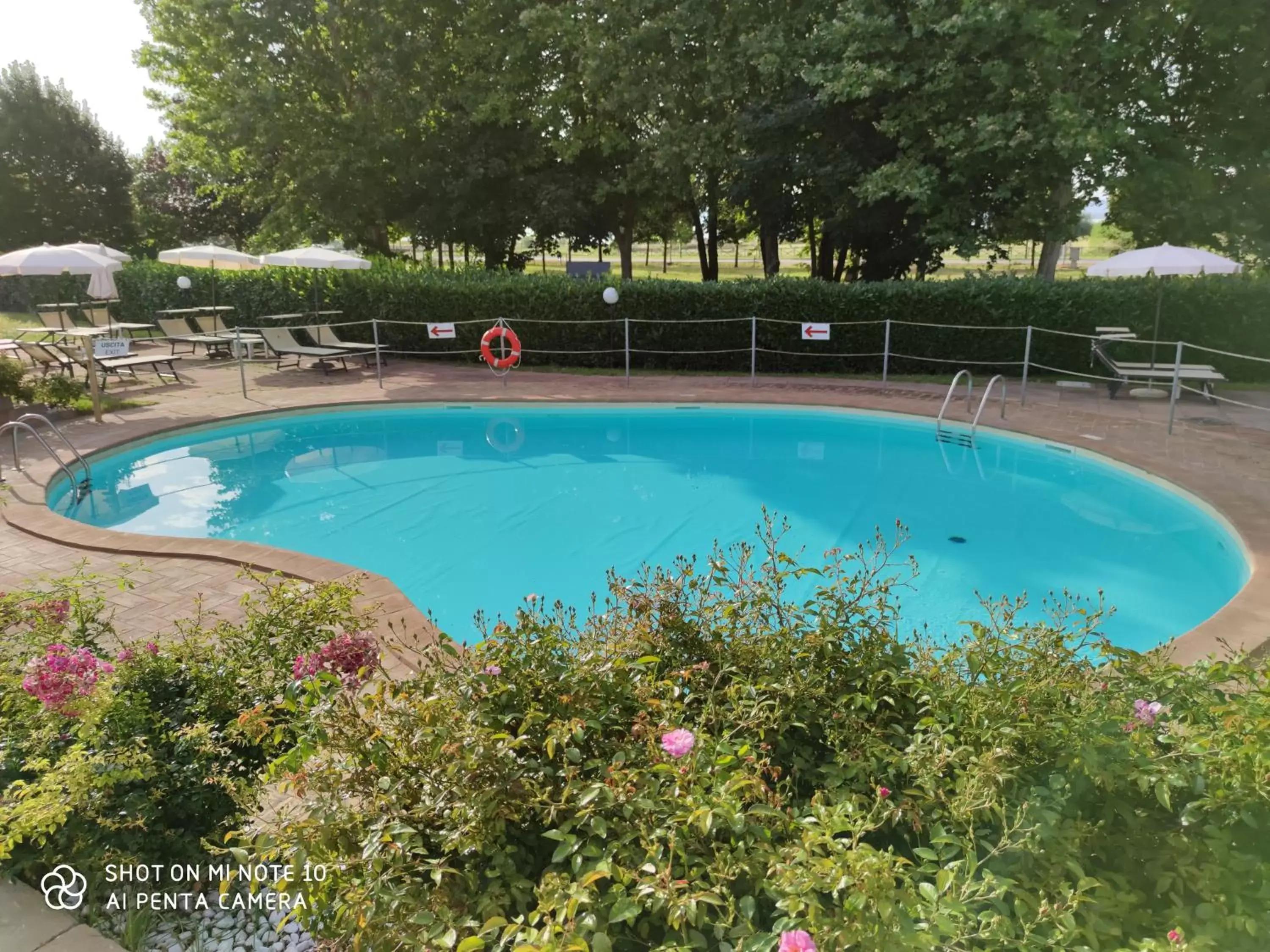 Swimming Pool in Le Macerine