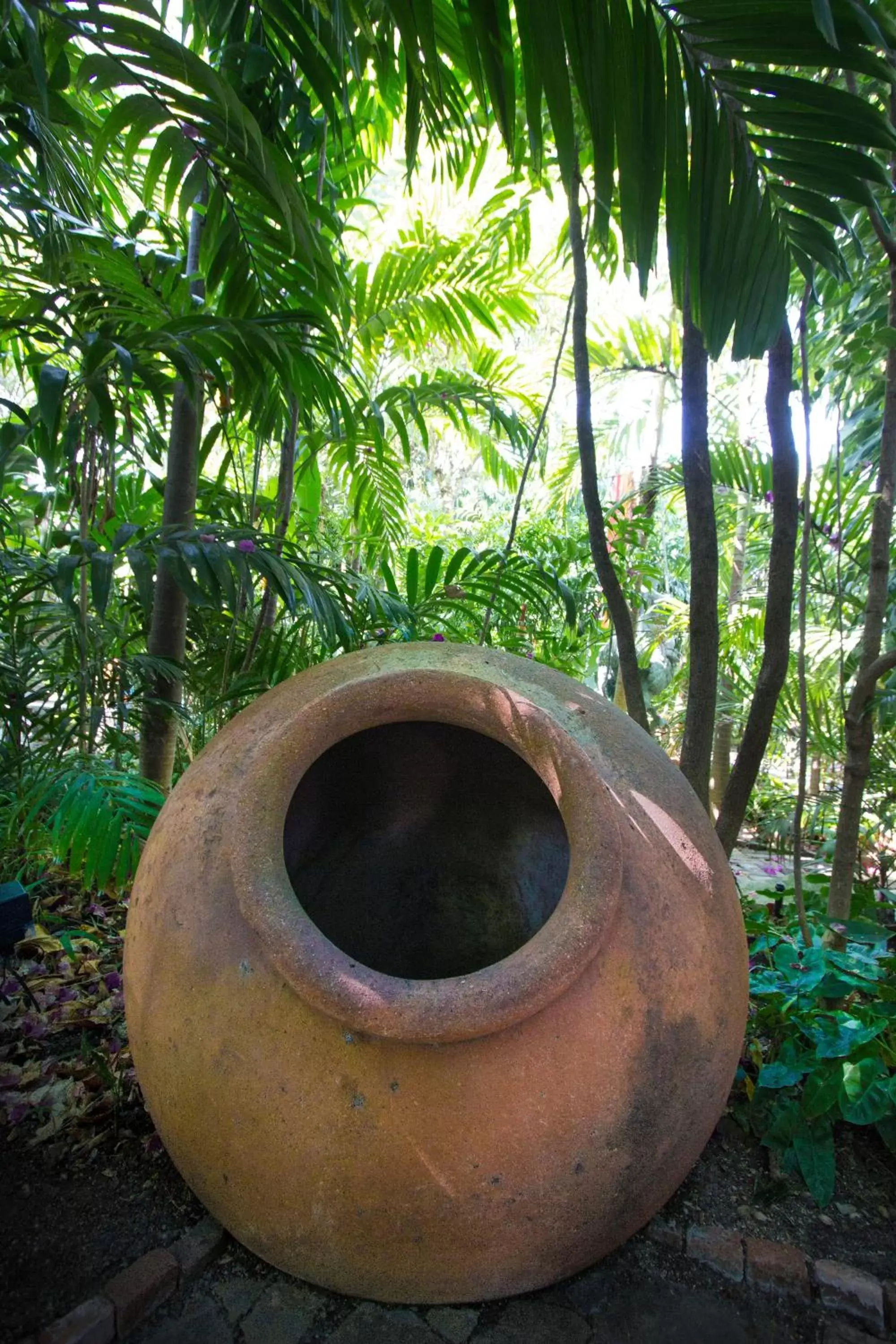 Garden in The Gardens Hotel