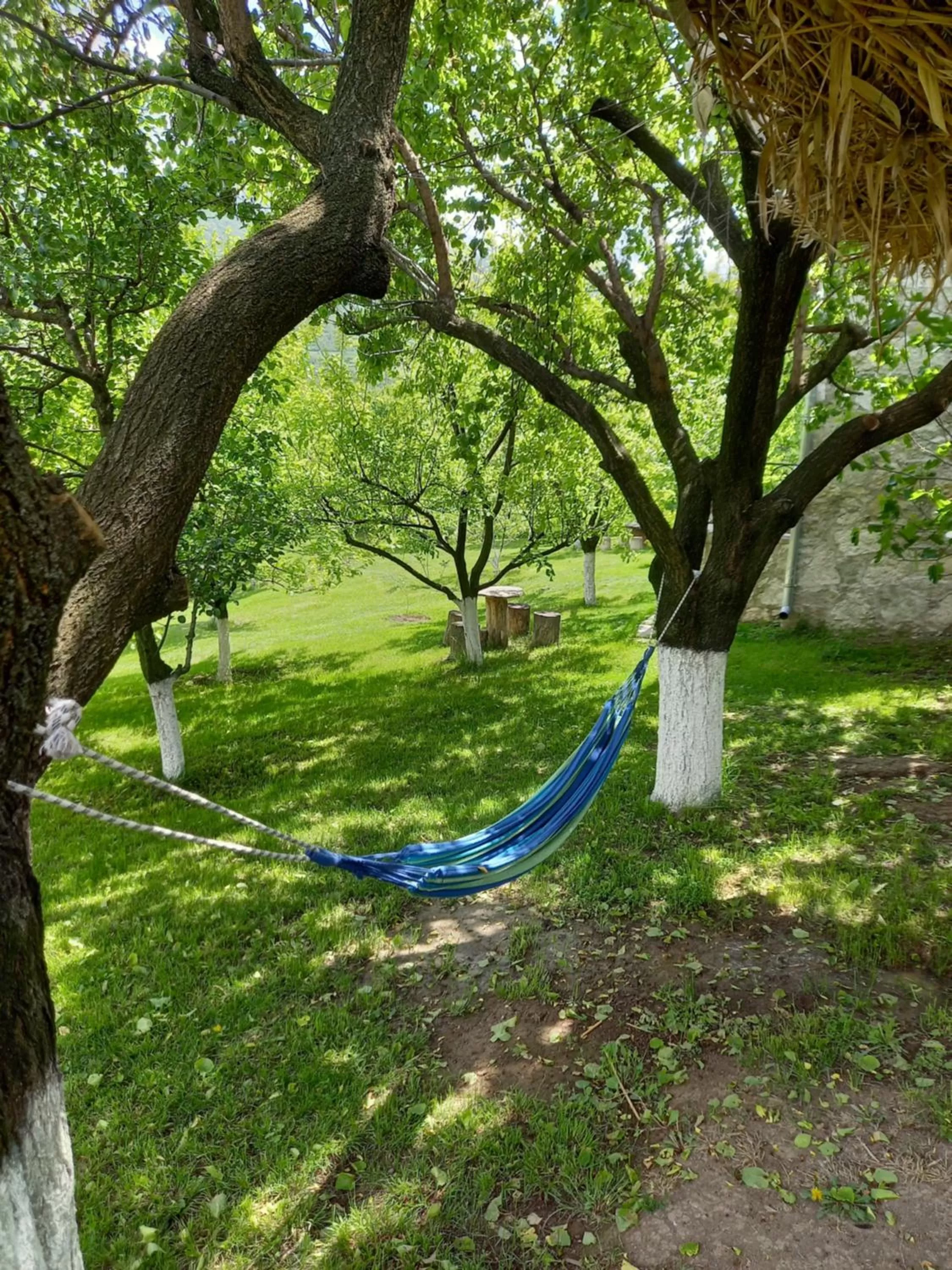 Spring in Guest House Ijevan's Garden