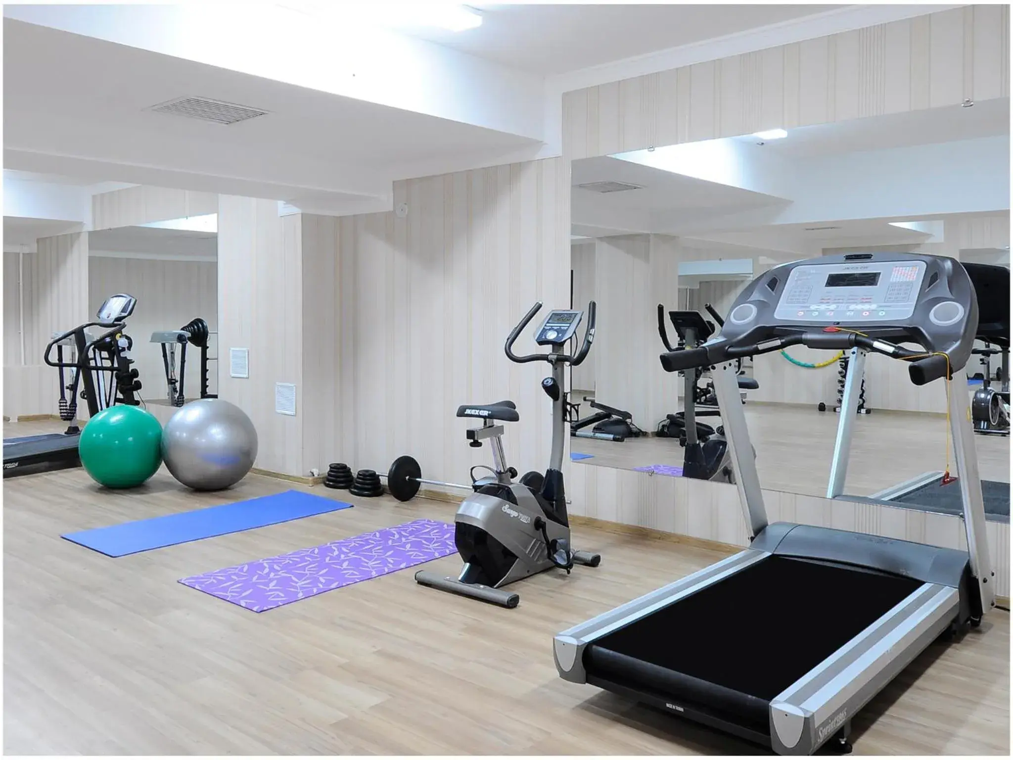 Fitness centre/facilities, Fitness Center/Facilities in Golden Valley Hotel