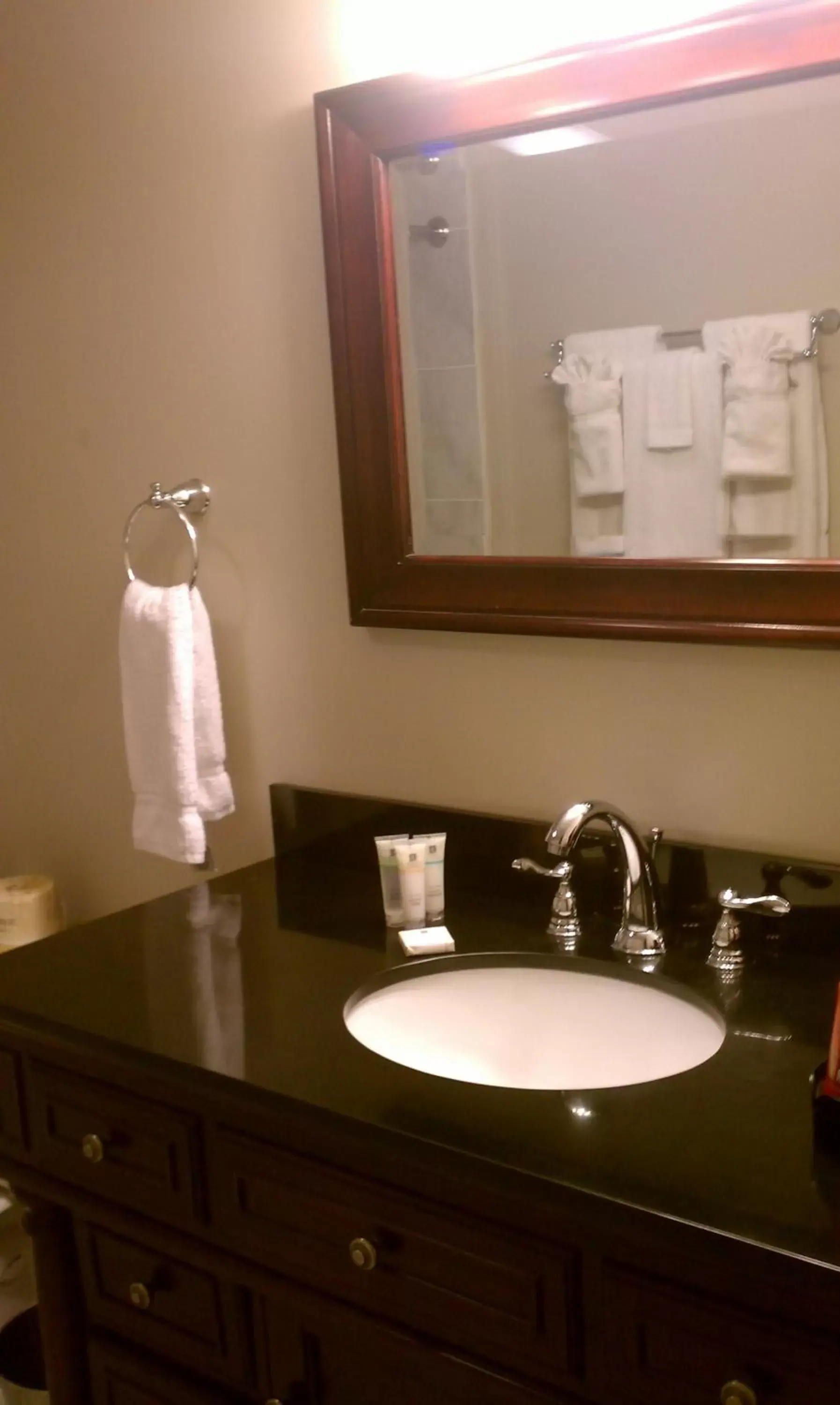 Bathroom in Inn on St. Peter, a French Quarter Guest Houses Property