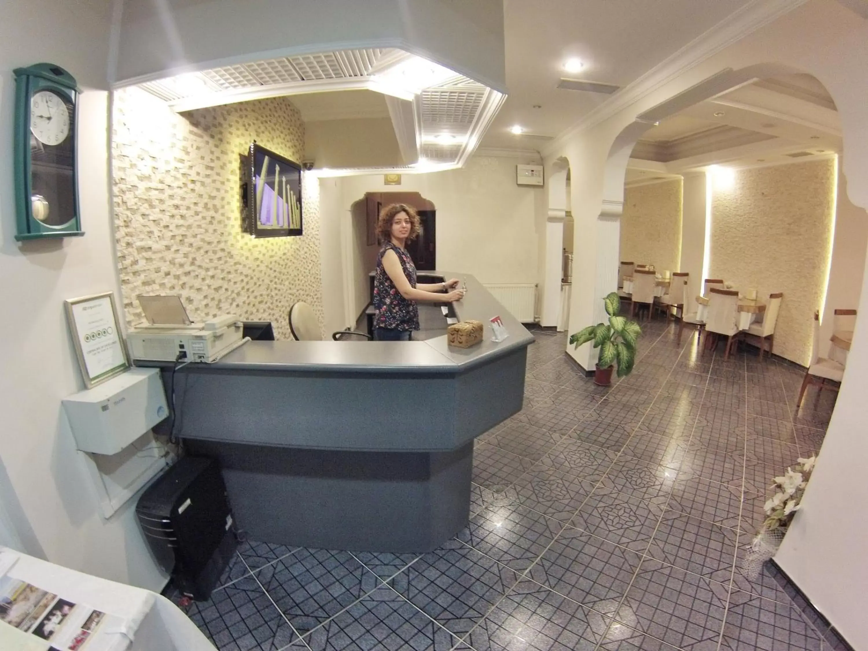 Lobby or reception, Lobby/Reception in Anil Hotel