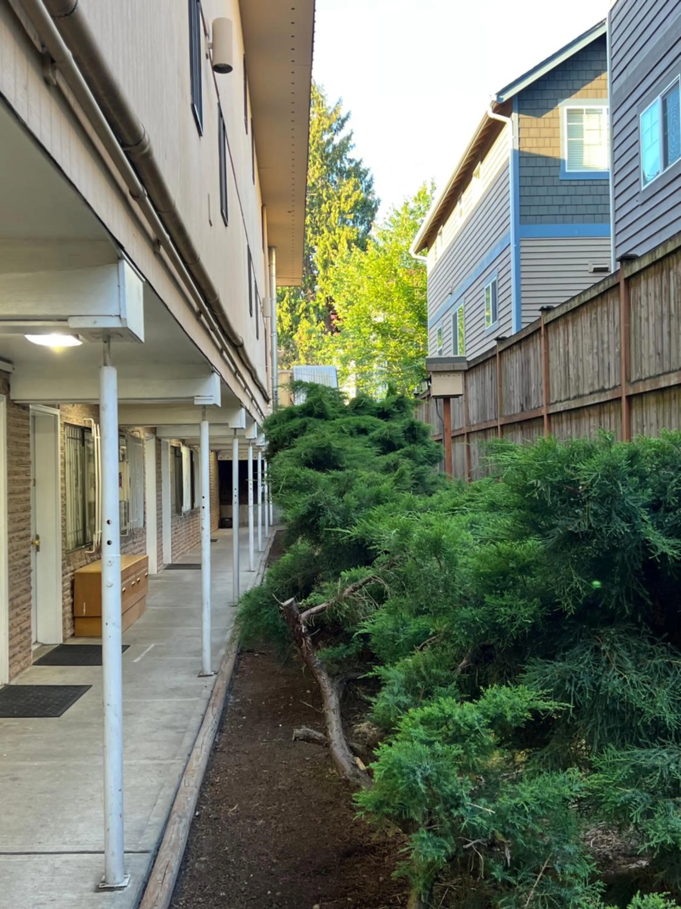 Garden in Columbus Motor Inn