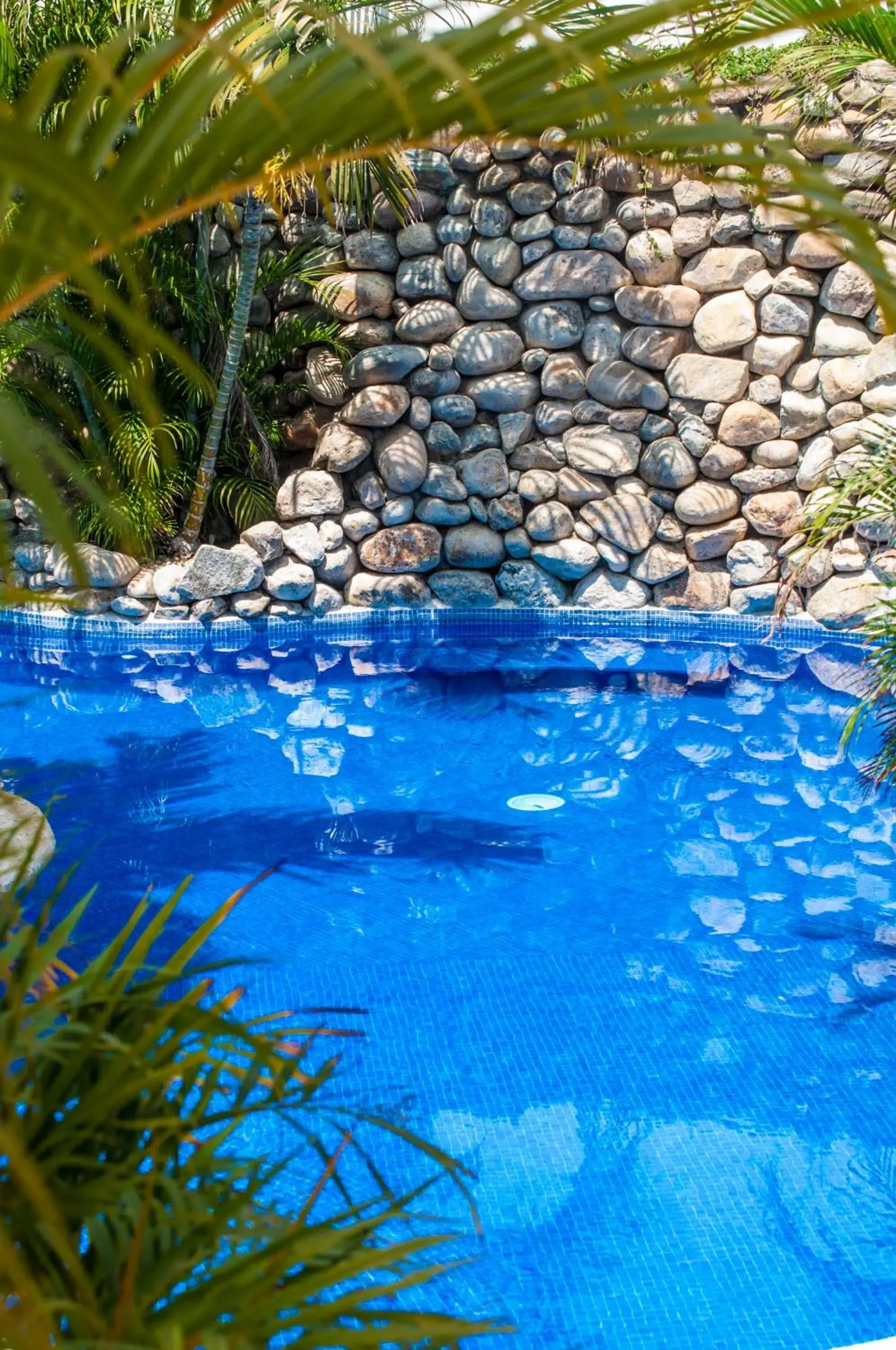 , Swimming Pool in Villas Carrizalillo