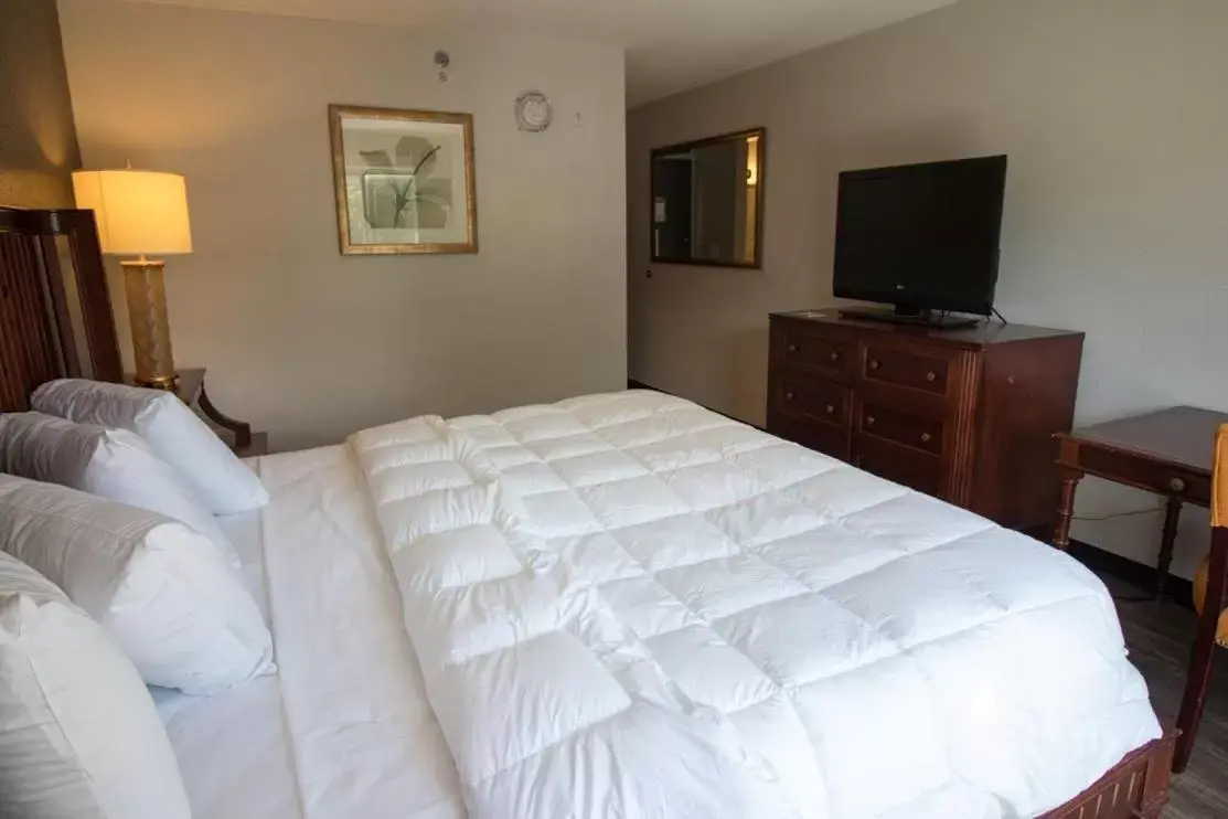 Bed in Baymont Inn and Suites by Wyndham Columbus / Near OSU