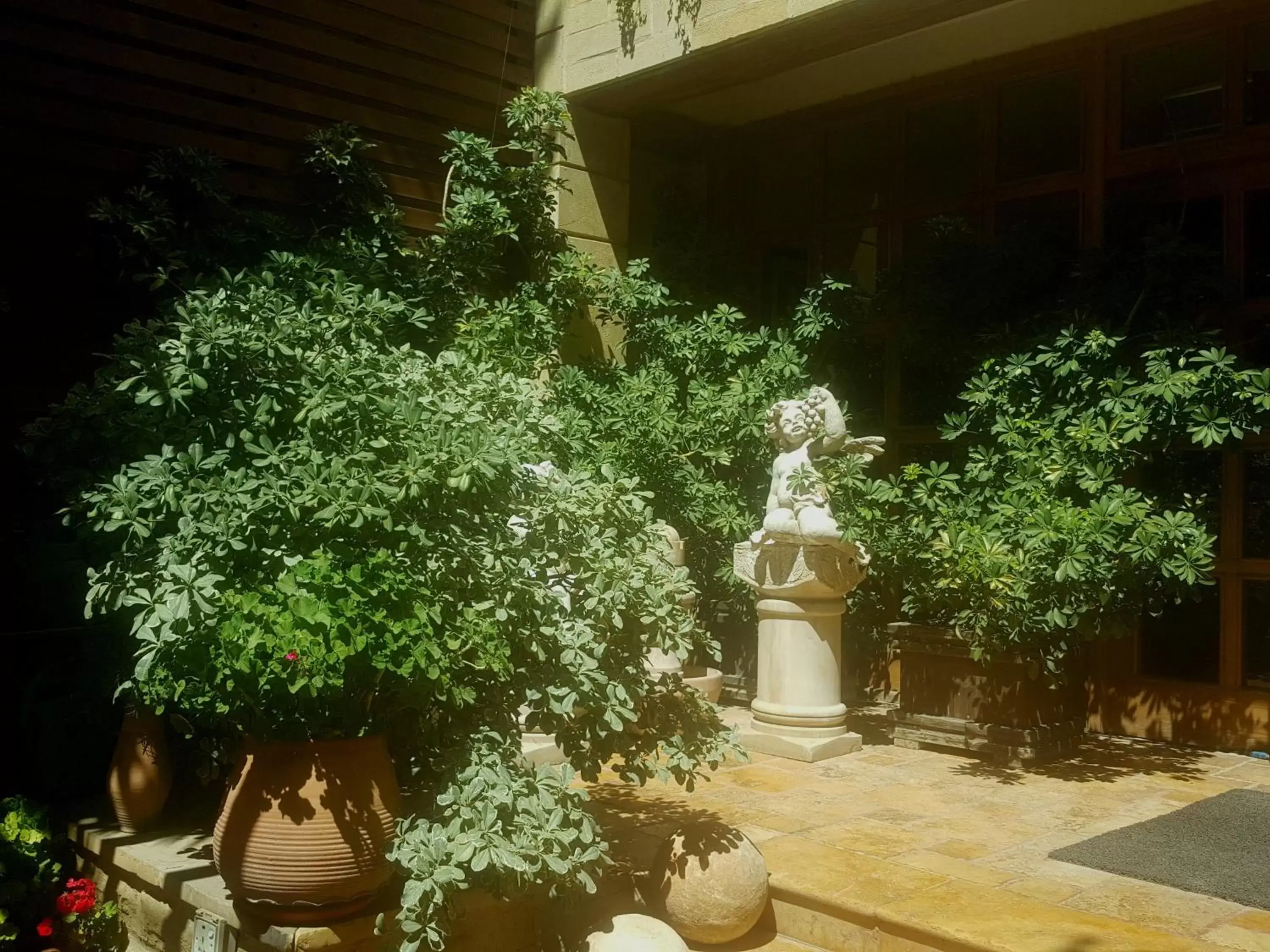 Garden in Hisham Hotel