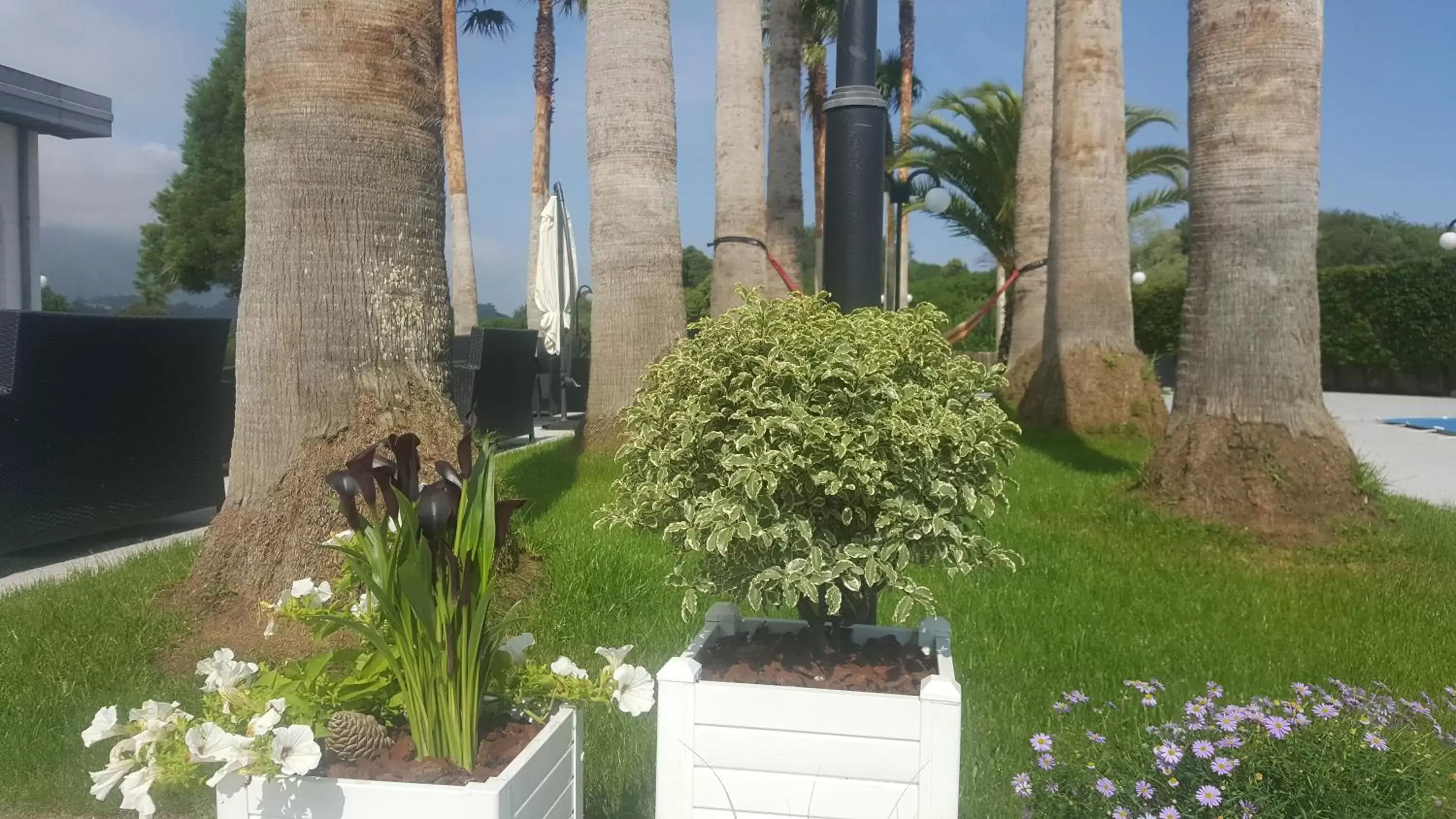 Garden in Hotel La Palma de Llanes