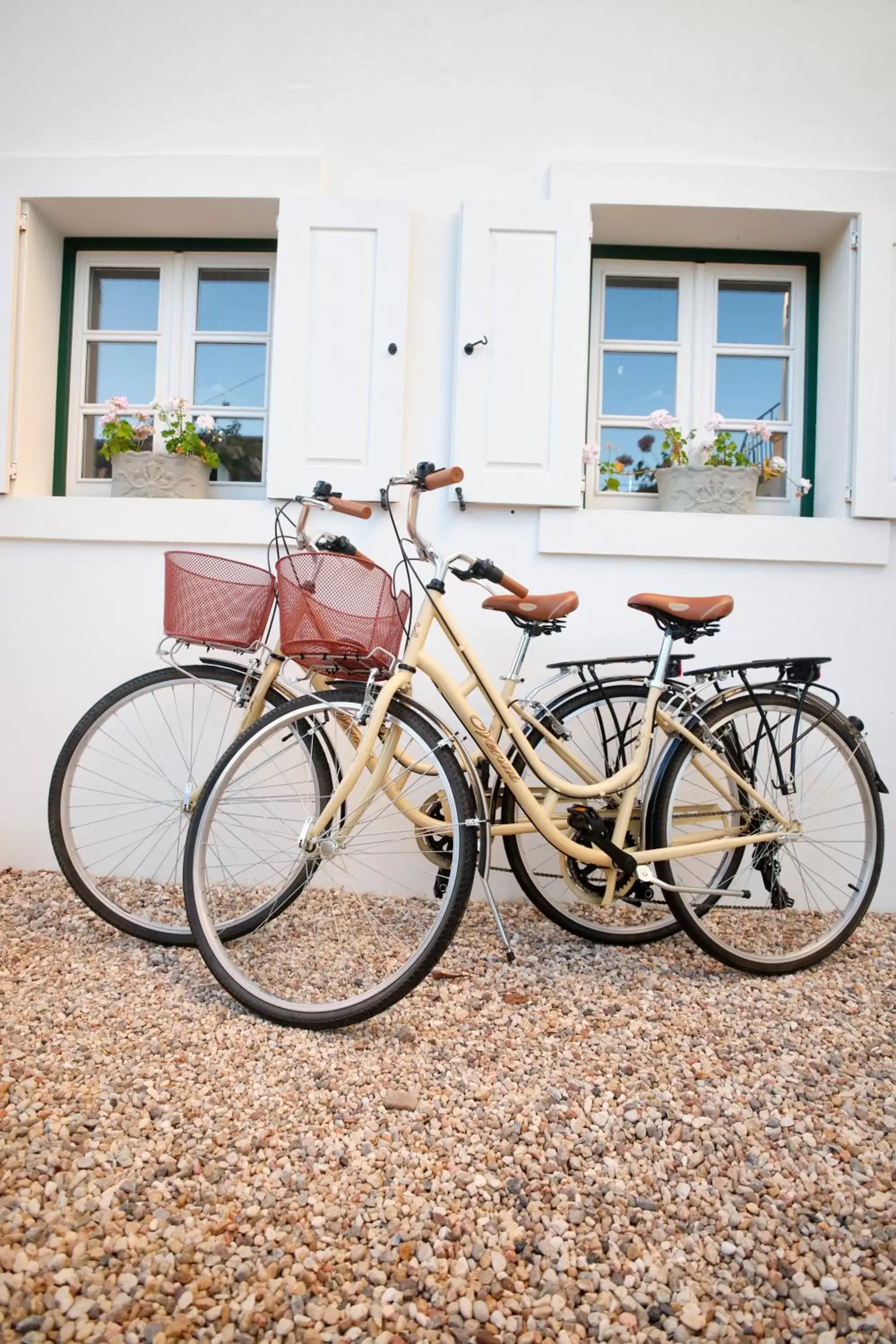 Cycling, Biking in Vila Branca Guesthouse - Palacete