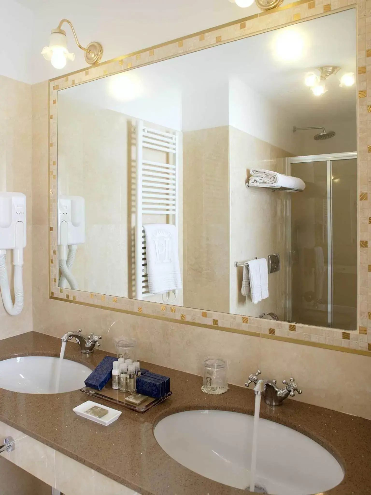 Shower, Bathroom in Giotto Hotel & Spa