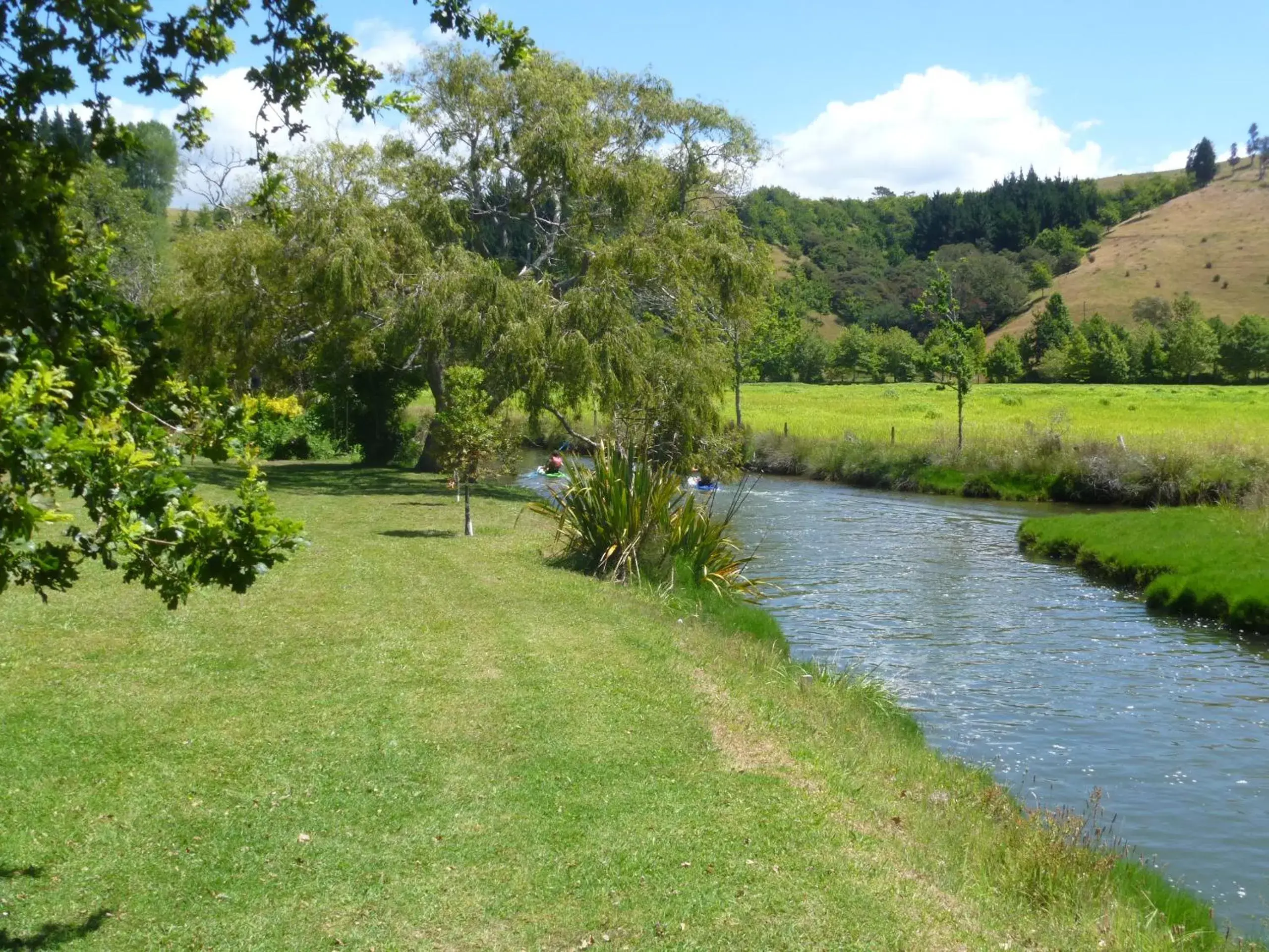 Natural landscape in At Parkland Place B&B