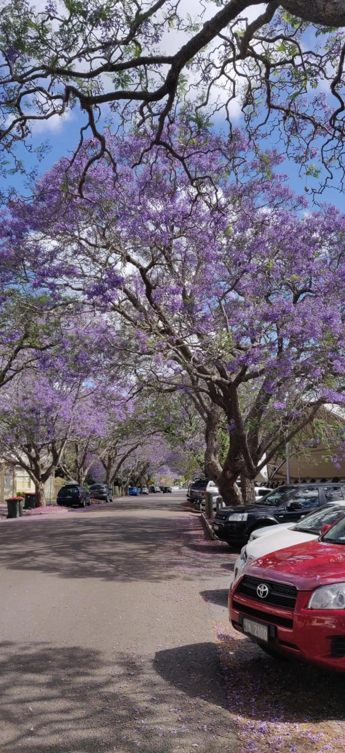 Nearby landmark in Sir Francis Drake