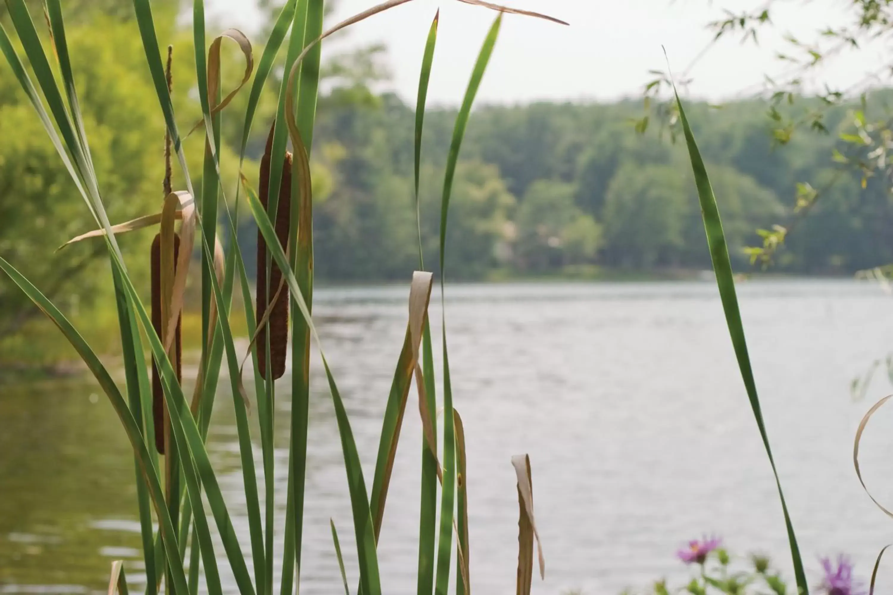 Lake view in Club Wyndham Resort at Fairfield Glade