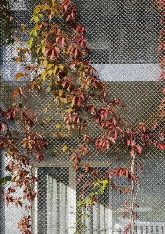 Property building in First Hotel Kokoloko