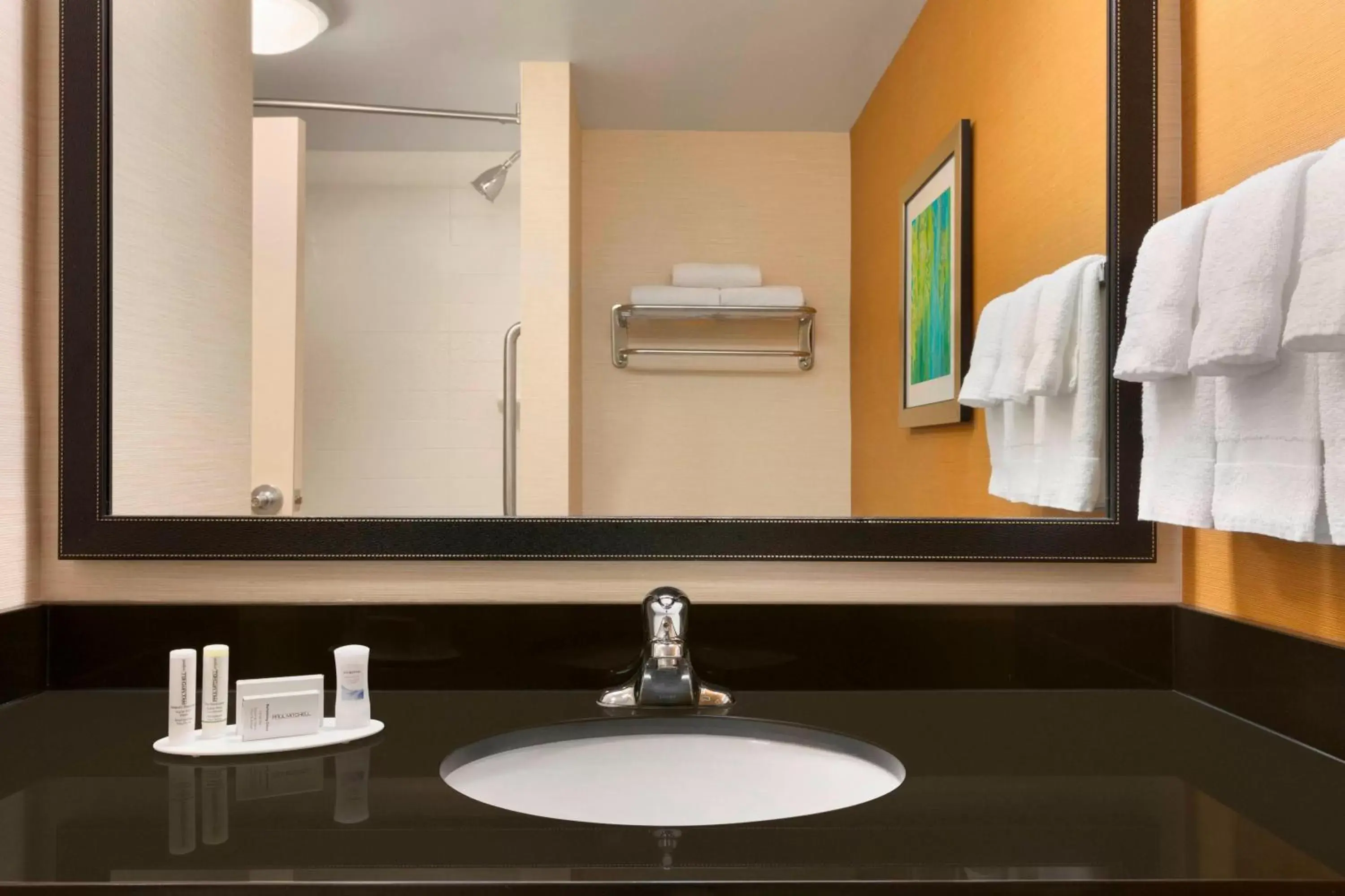 Bathroom in Fairfield Inn & Suites by Marriott Smithfield