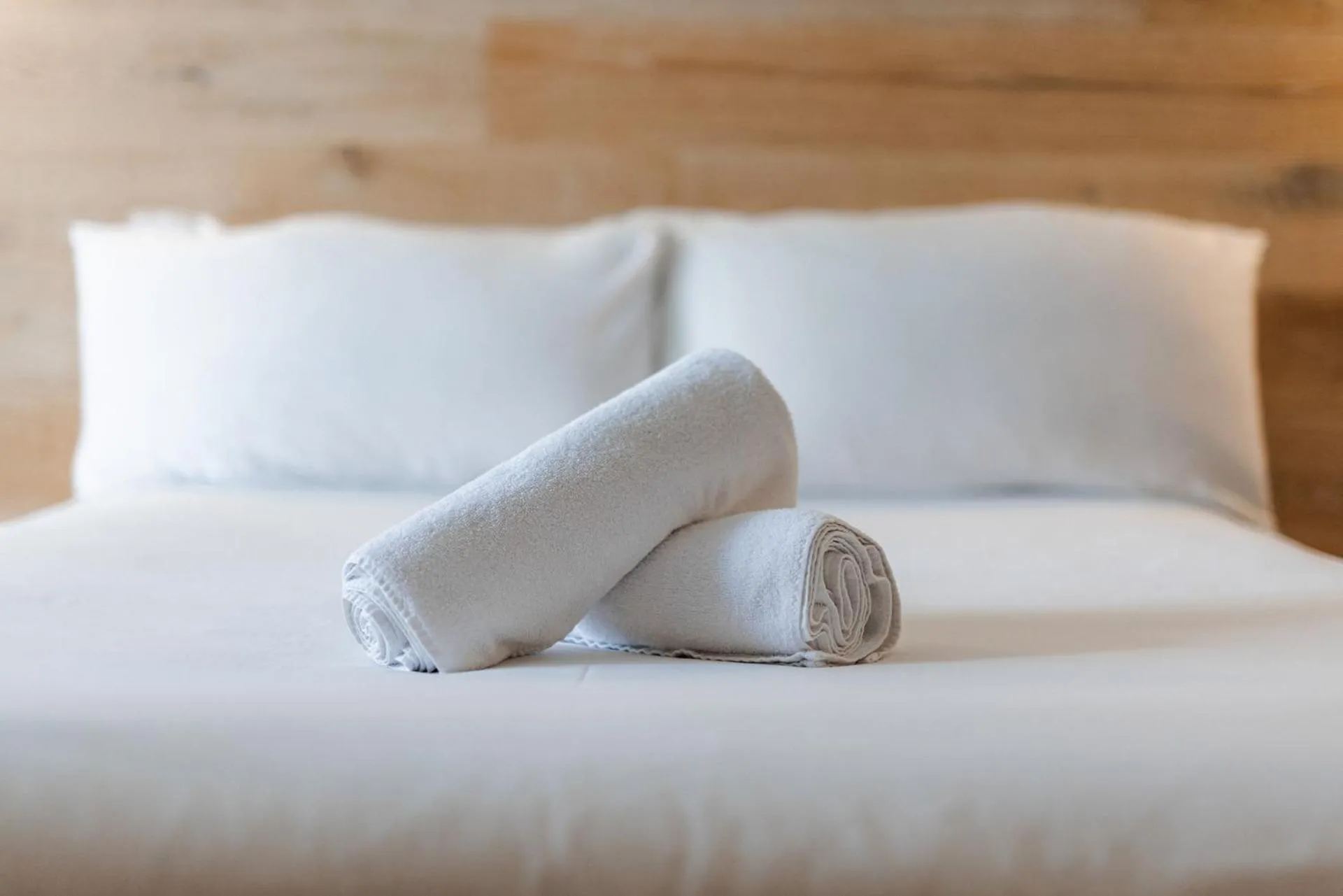 Bed in Bunk Surfers Paradise International Backpacker Hostel