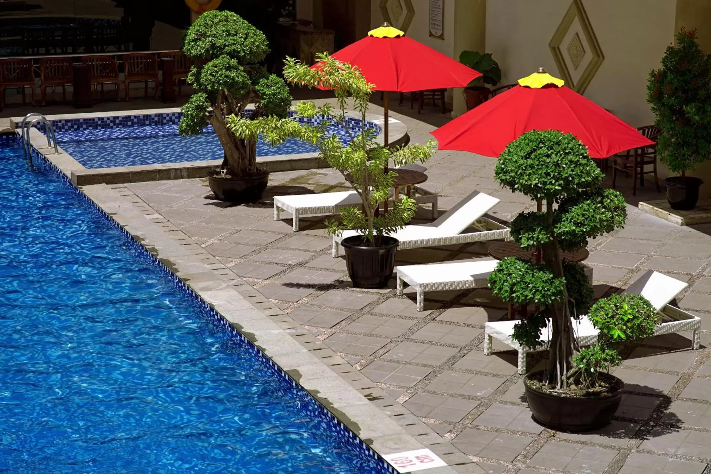 Swimming pool, Patio/Outdoor Area in Rocky Plaza Hotel Padang
