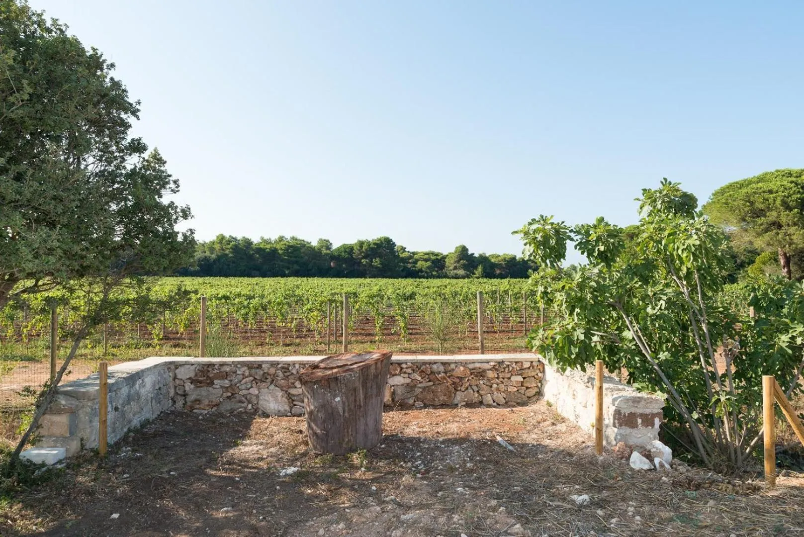 Natural landscape in Masseria Mongiò dell'Elefante