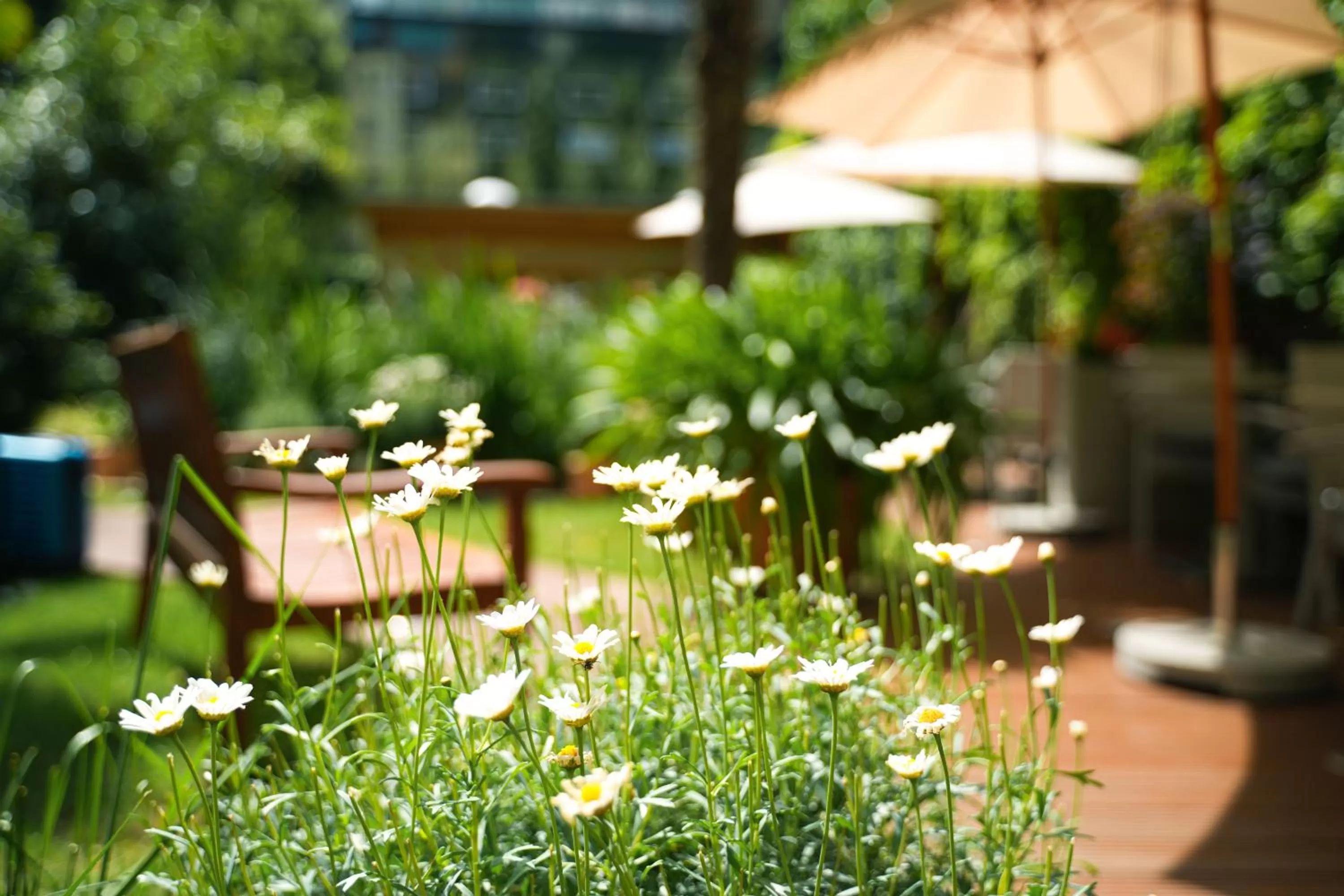 Garden in THE GATE GARDEN Hotel