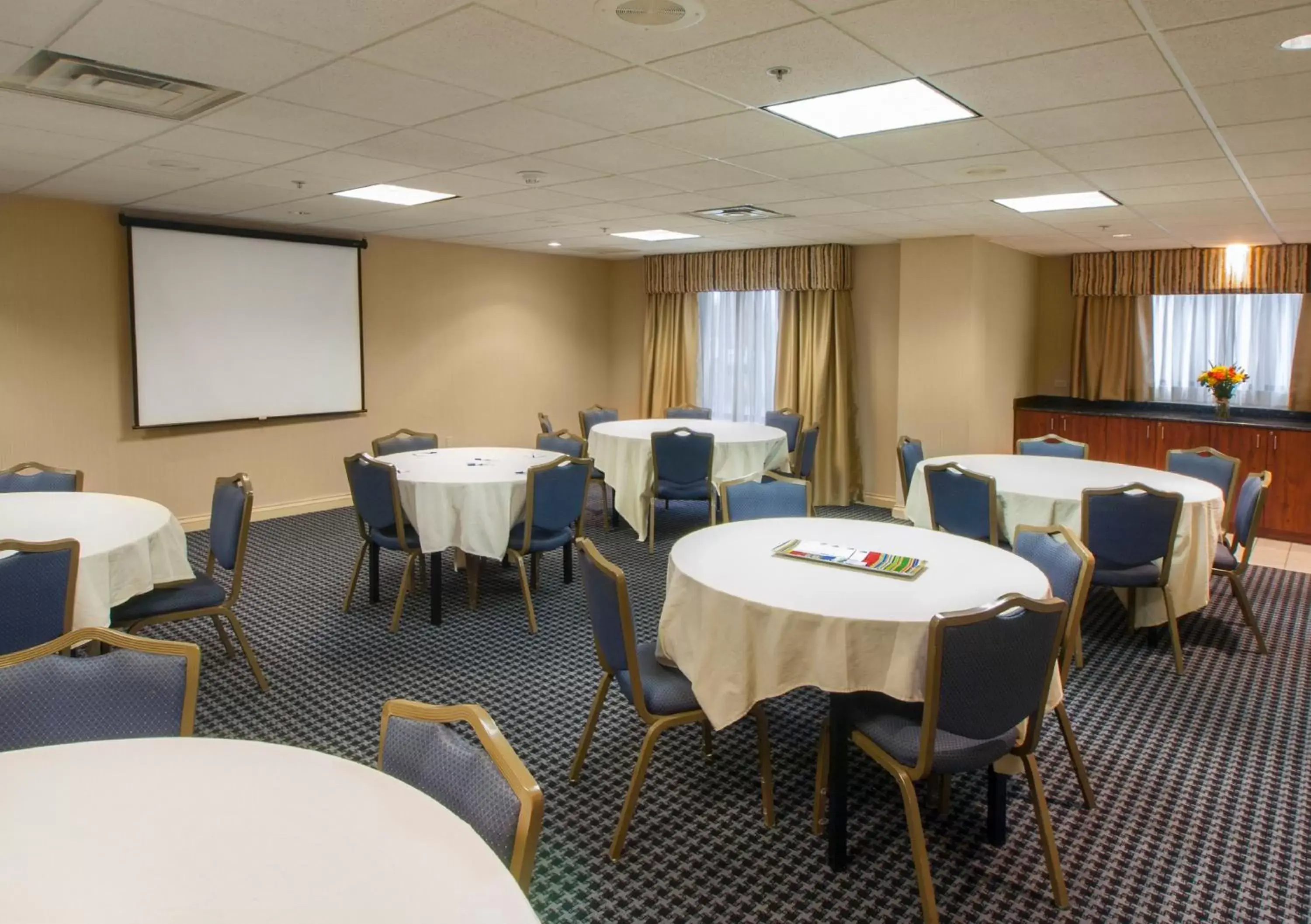Meeting/conference room in Holiday Inn Express & Suites Buffalo Airport, an IHG Hotel