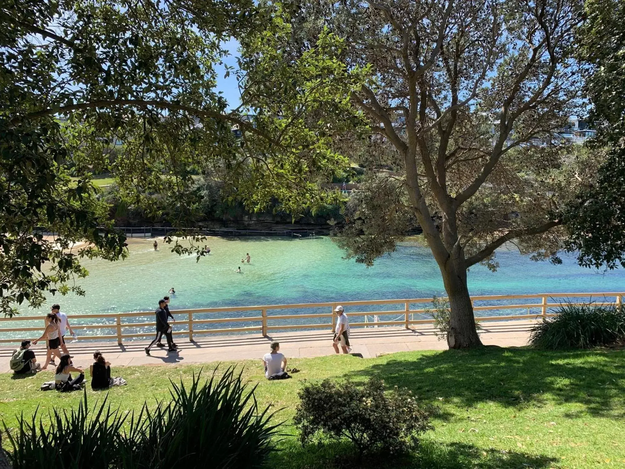 Natural landscape in Little Coogee Hotel